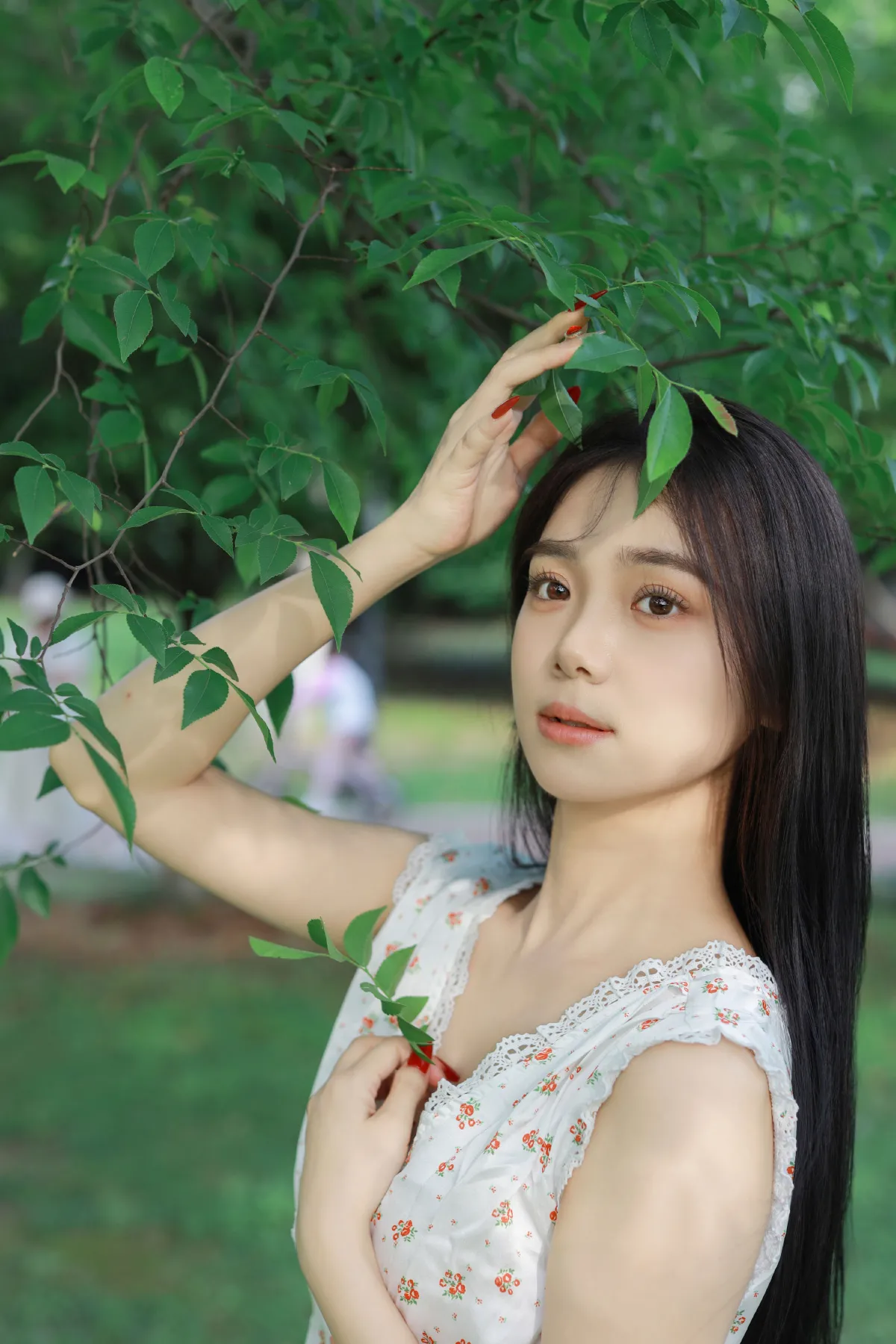 林间绿影