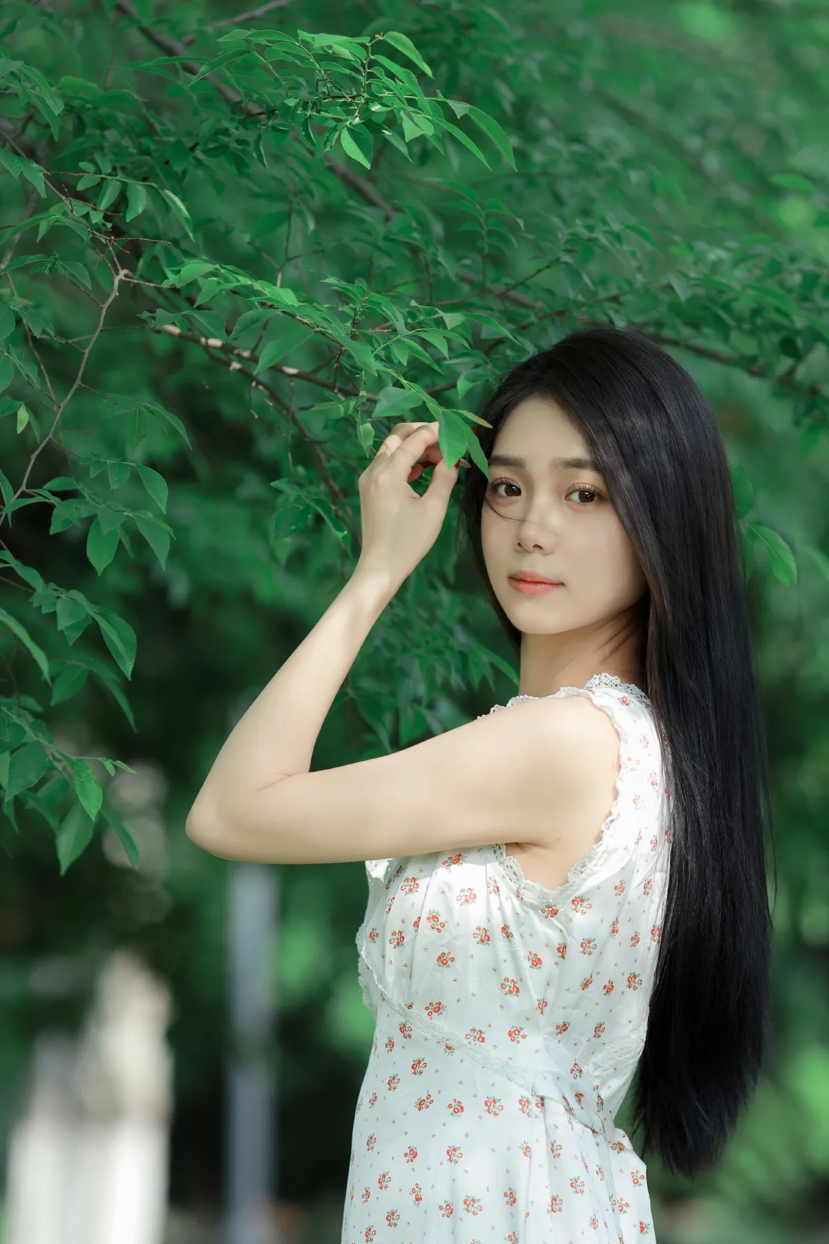 林间绿影