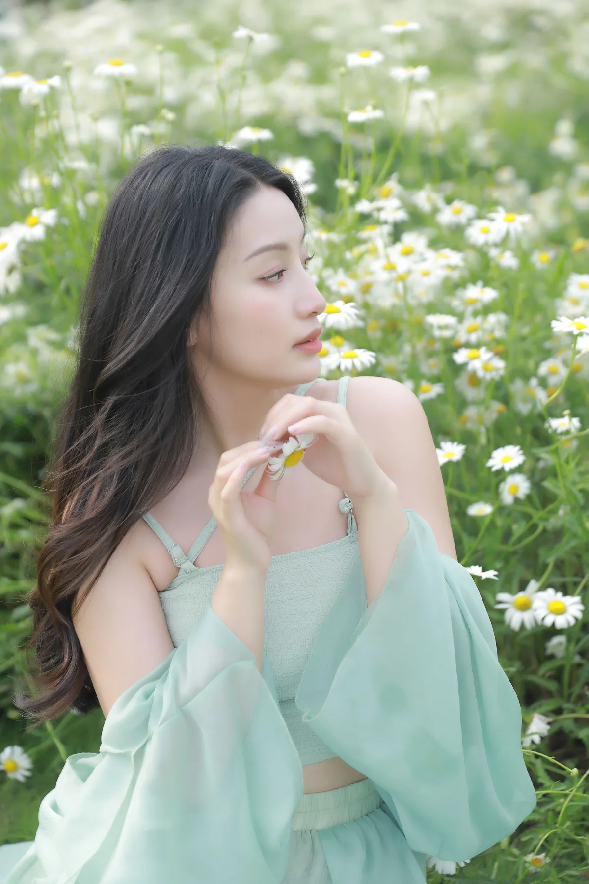 浅白光阴