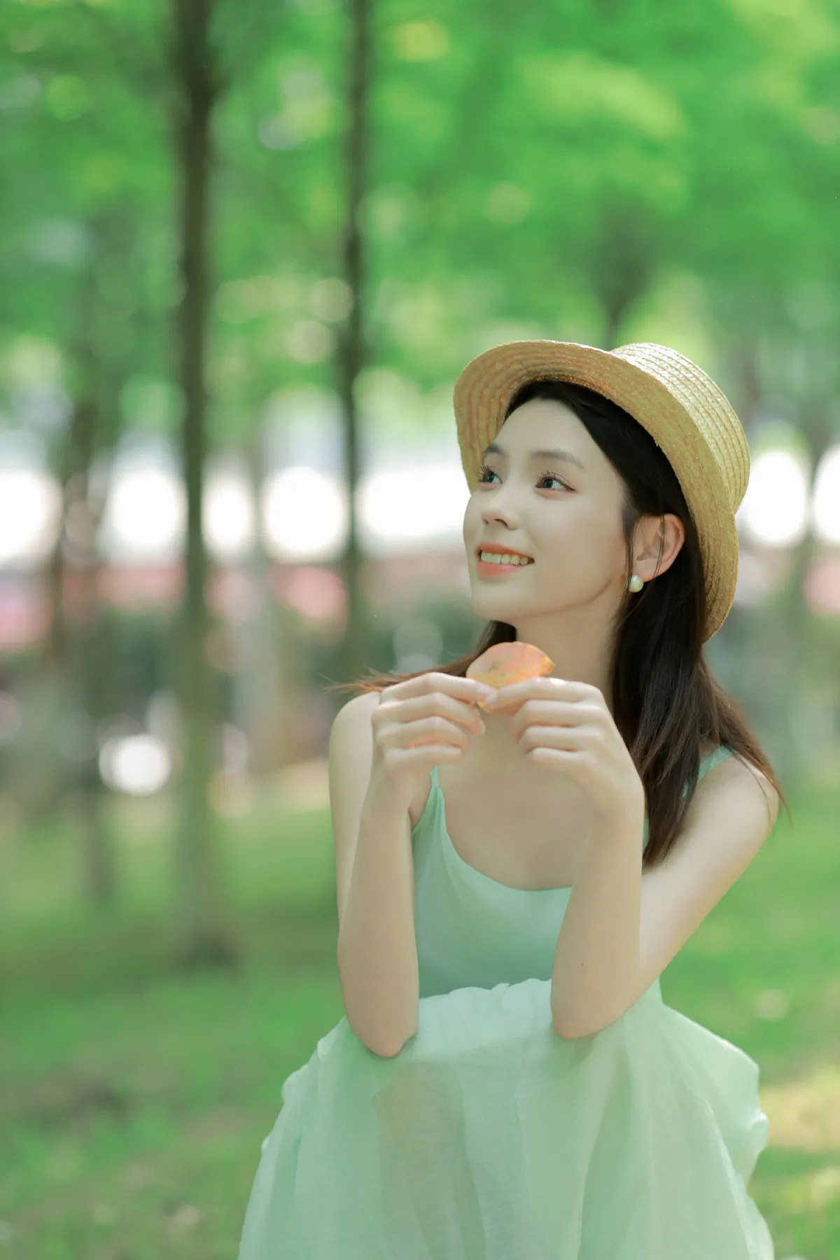 绿色物语2