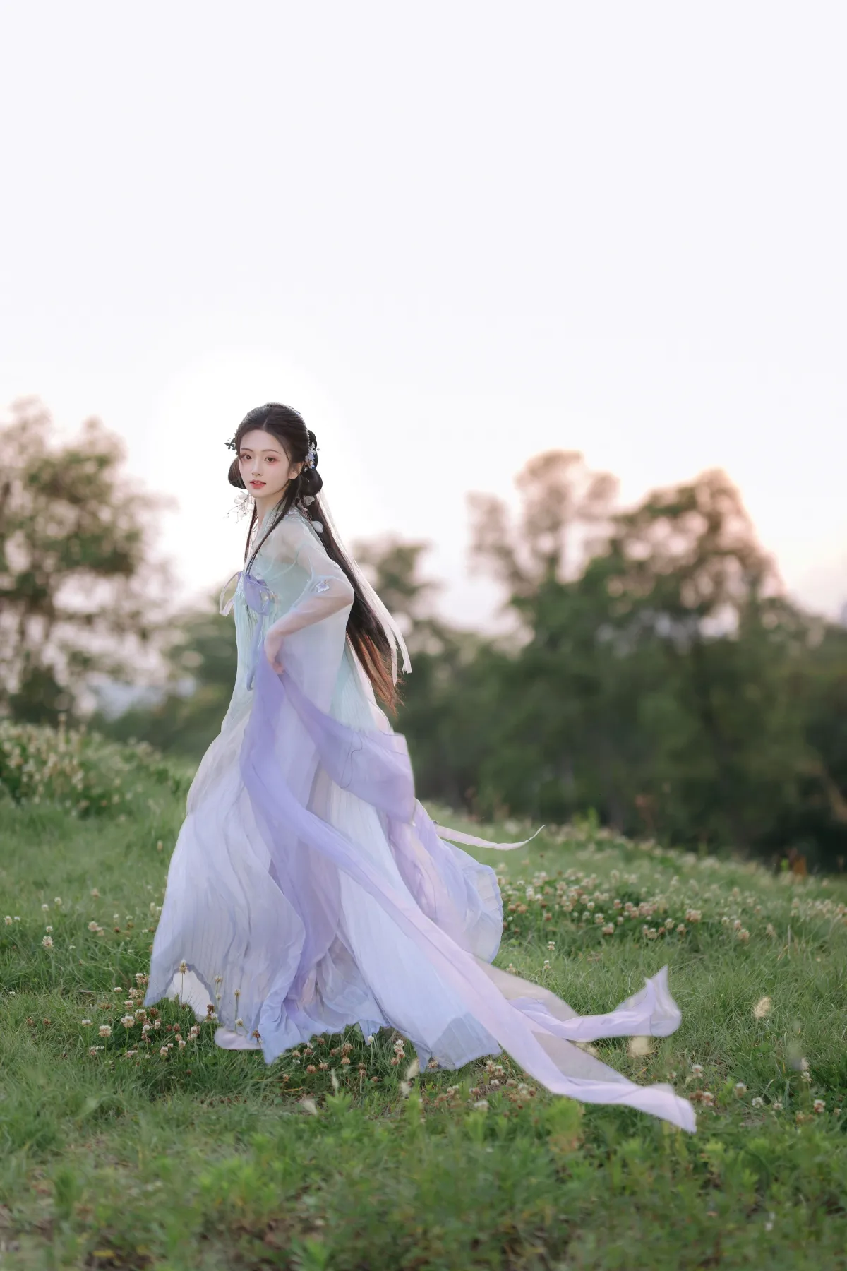 小鸢尾花仙