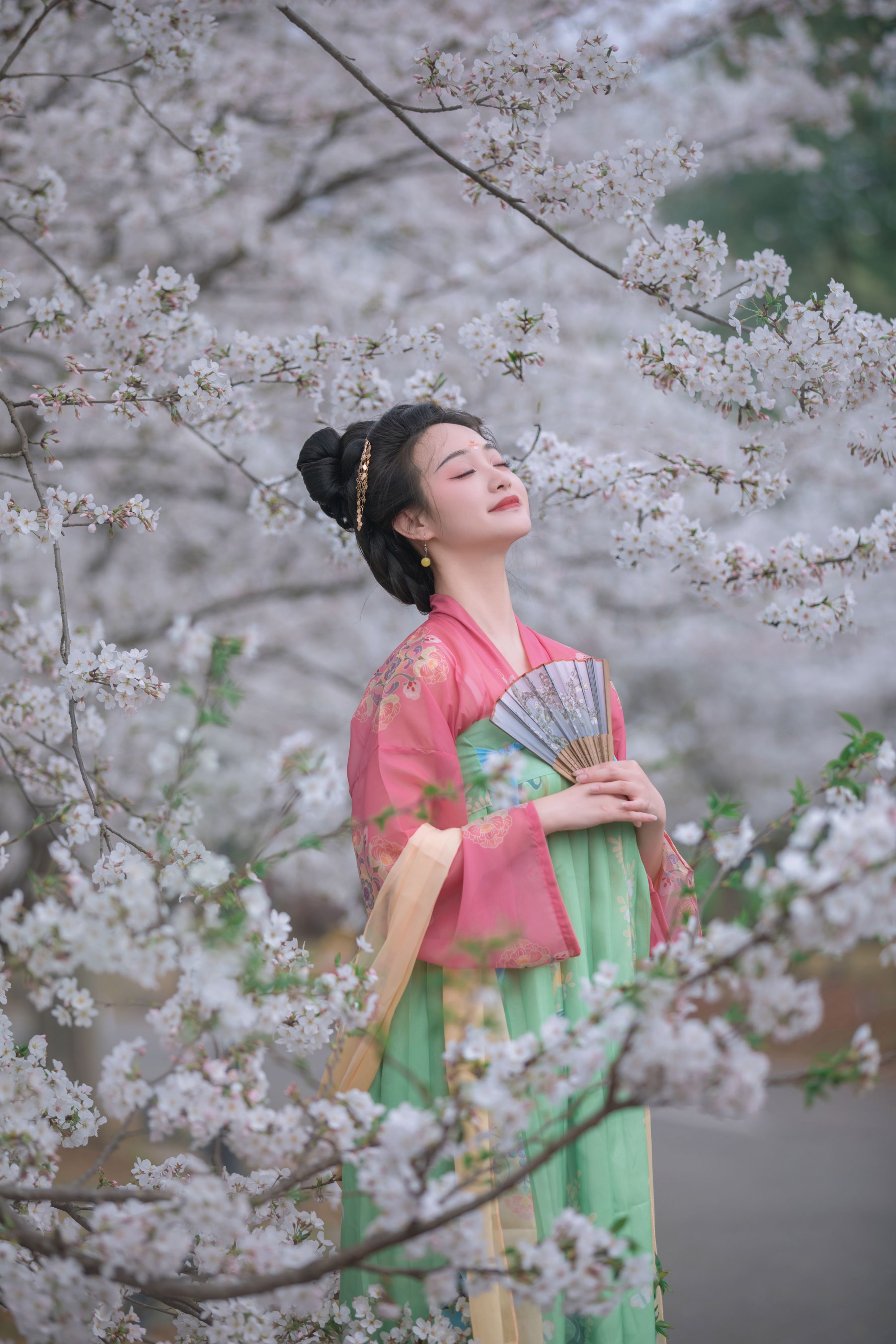 樱花漫