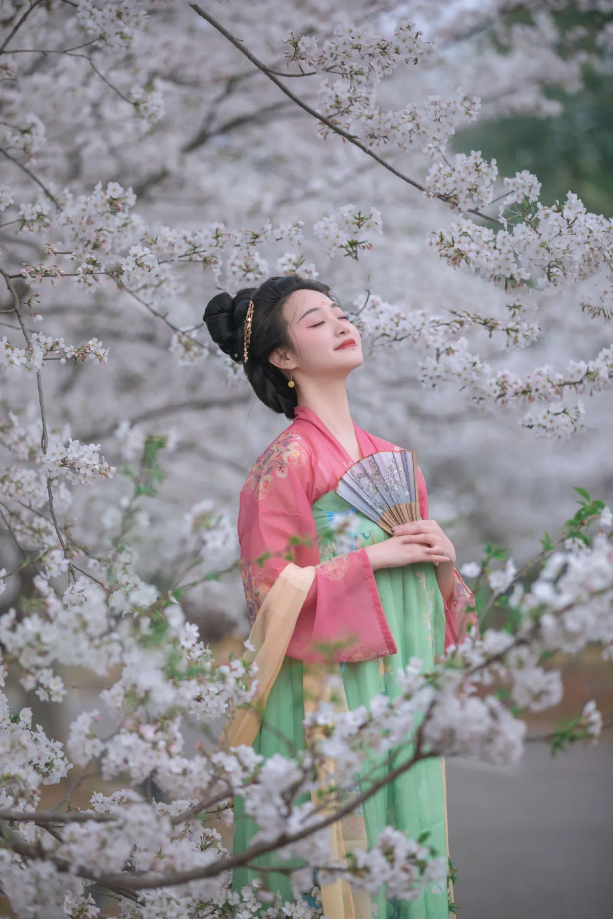樱花漫