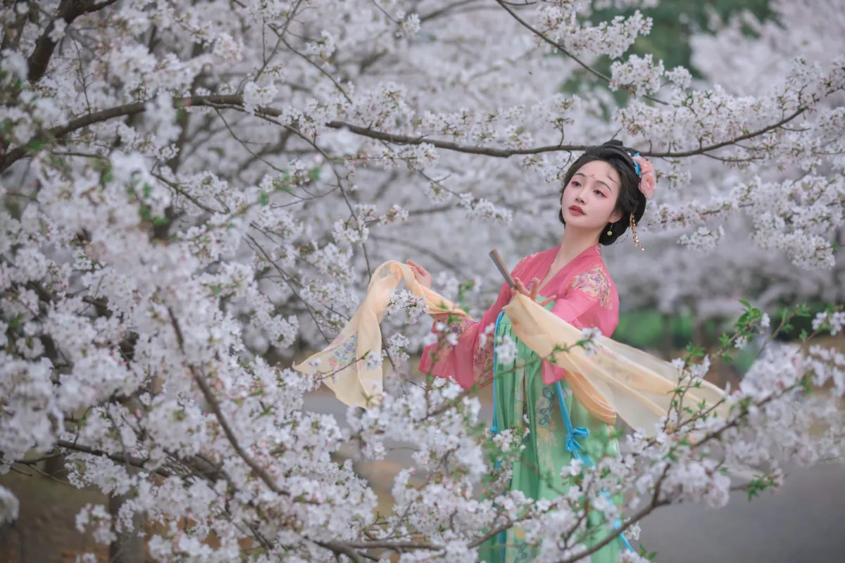 樱花漫2