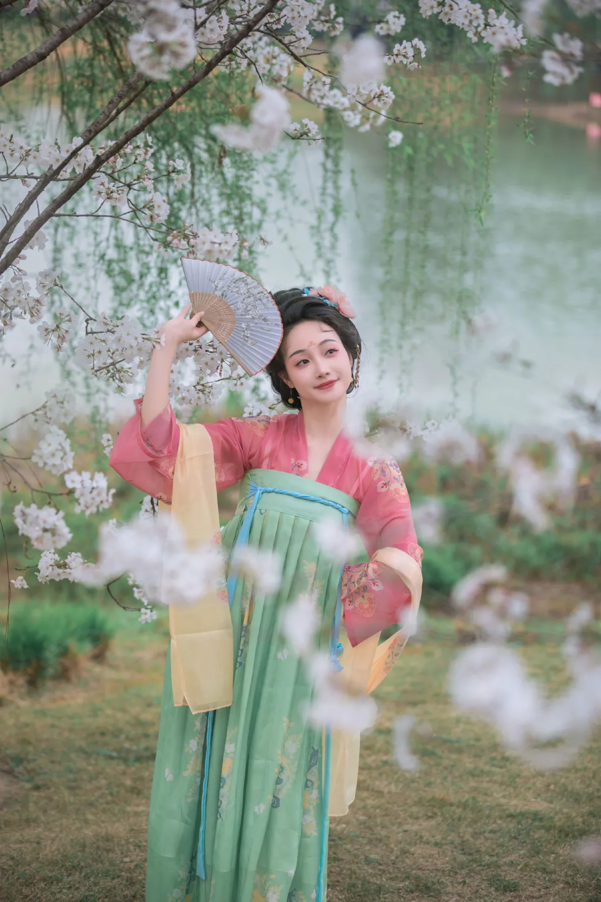 樱花漫