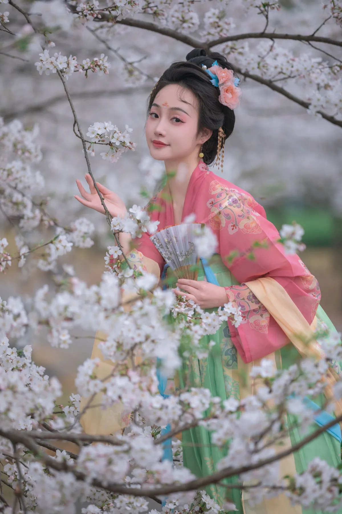 樱花漫3