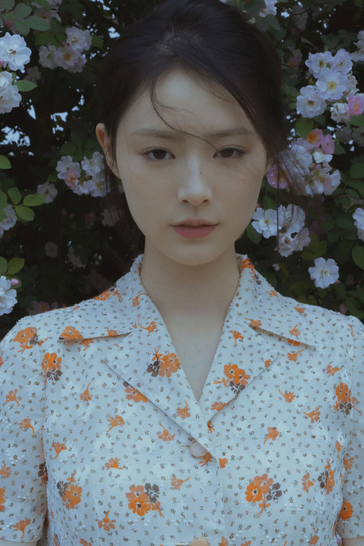 春风吹散了蔷薇2