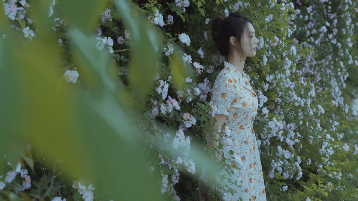 春风吹散了蔷薇3