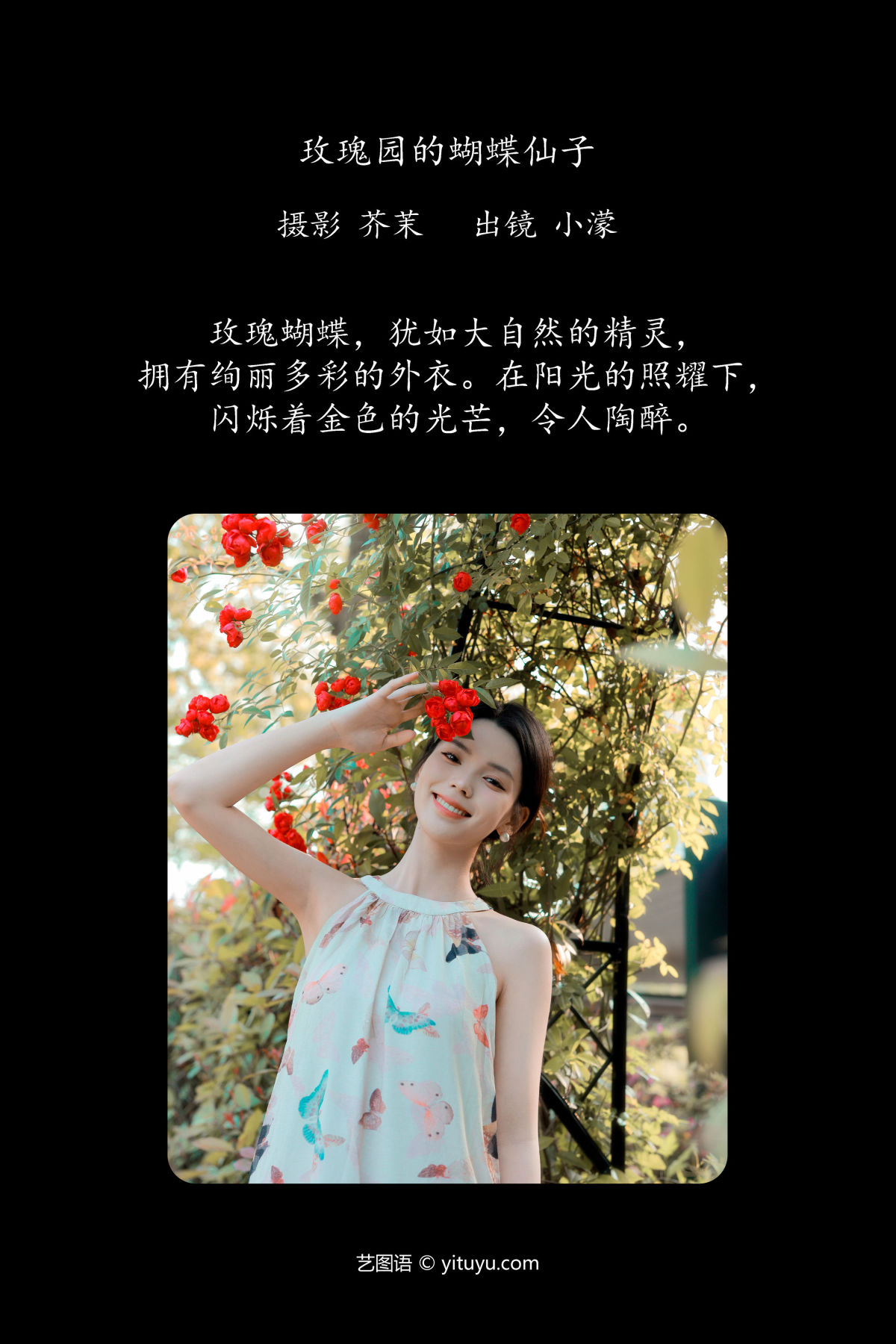 芥茉_小濛《玫瑰园的蝴蝶仙子》美图作品图片2