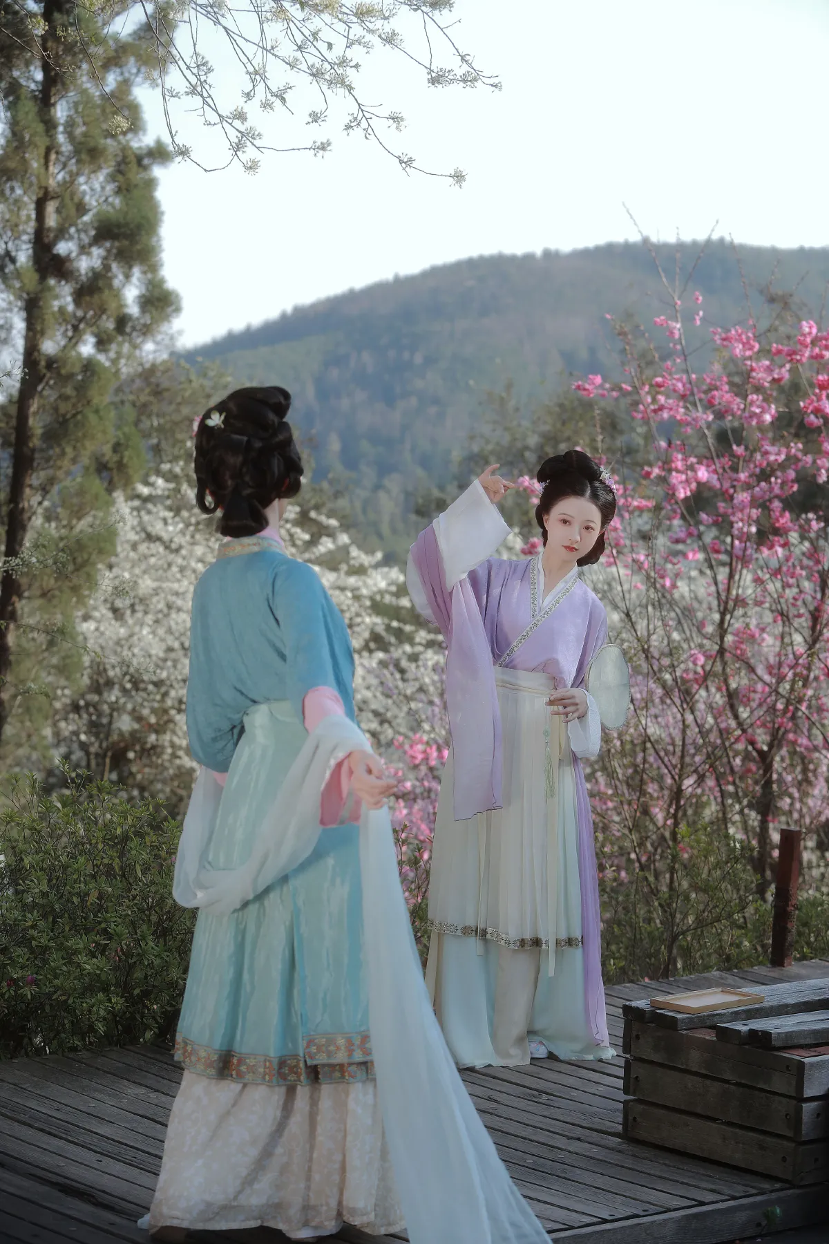 春有百花秋有月5
