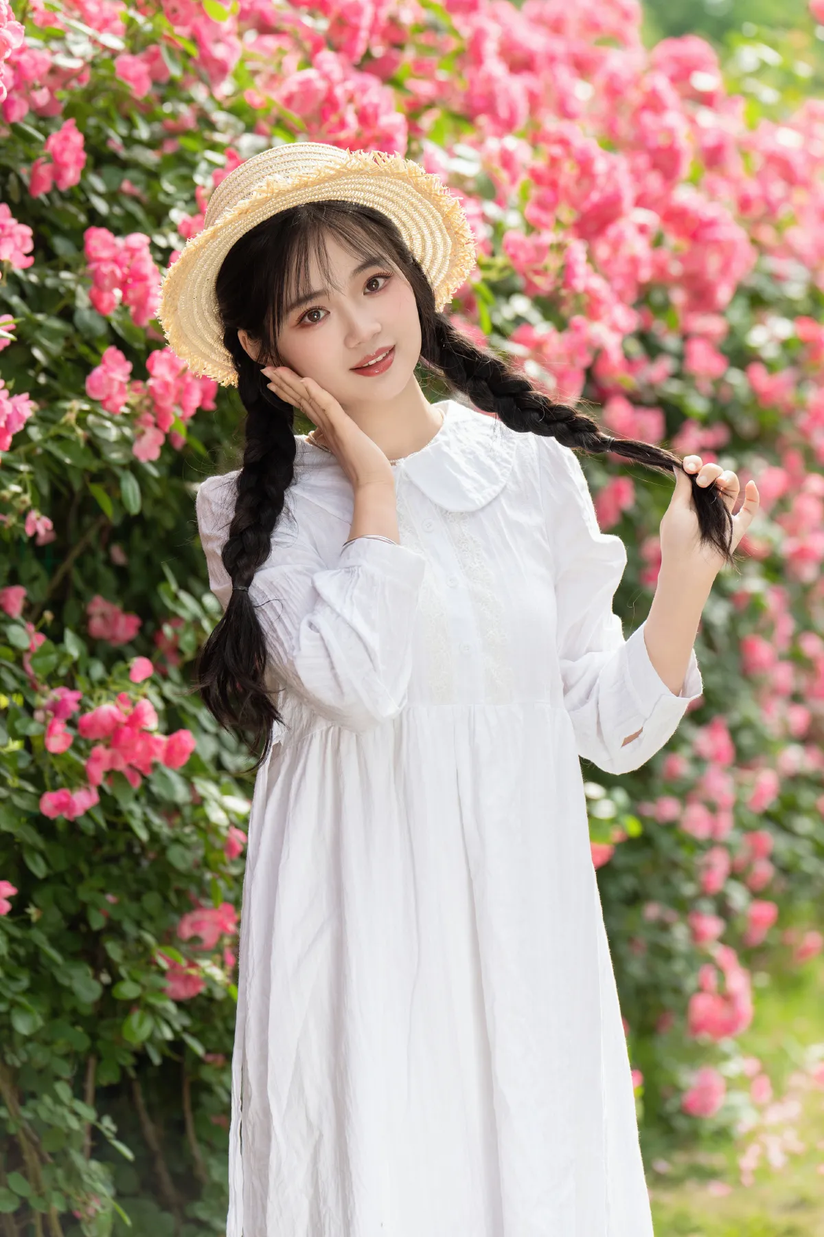 五月蔷薇1