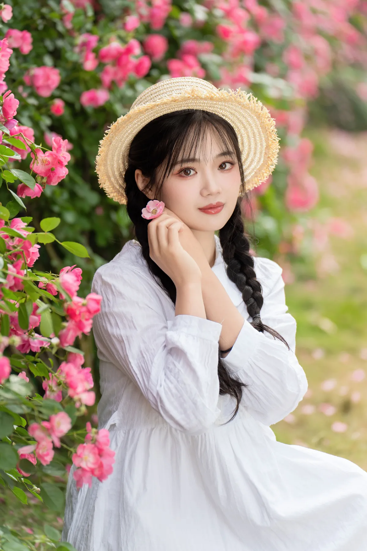五月蔷薇