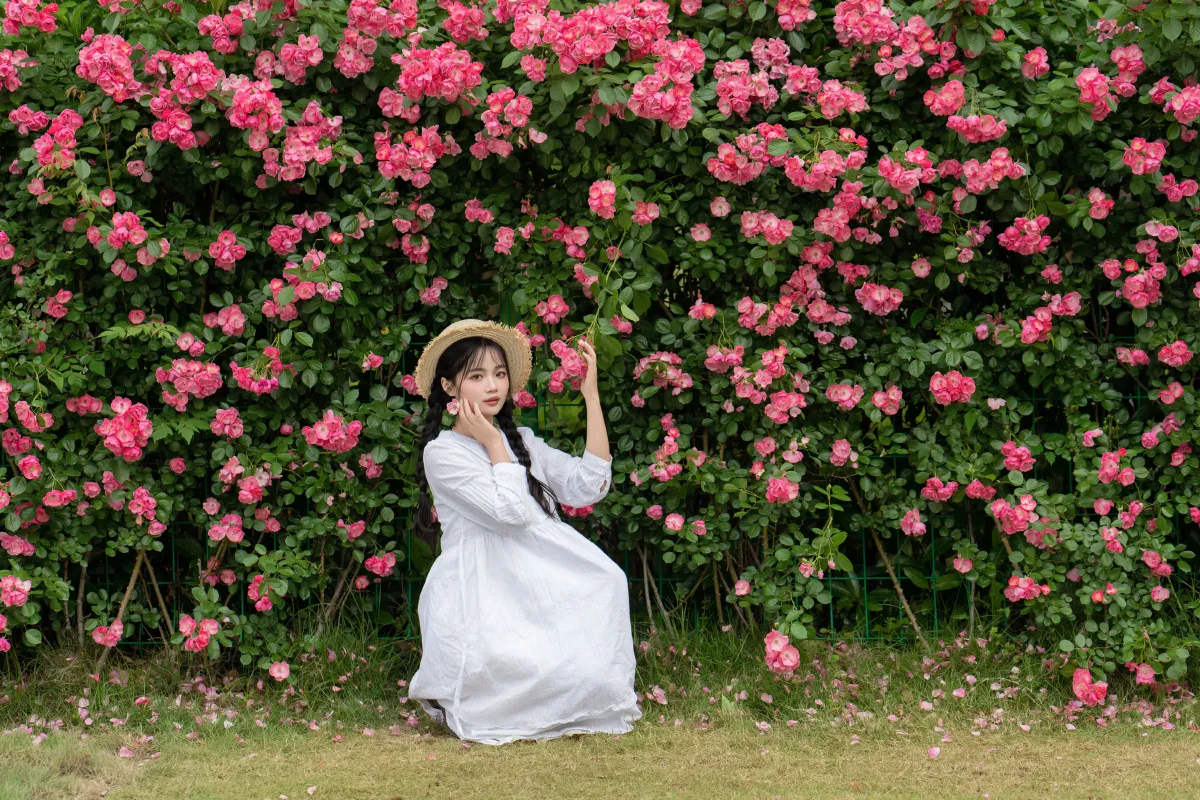 五月蔷薇
