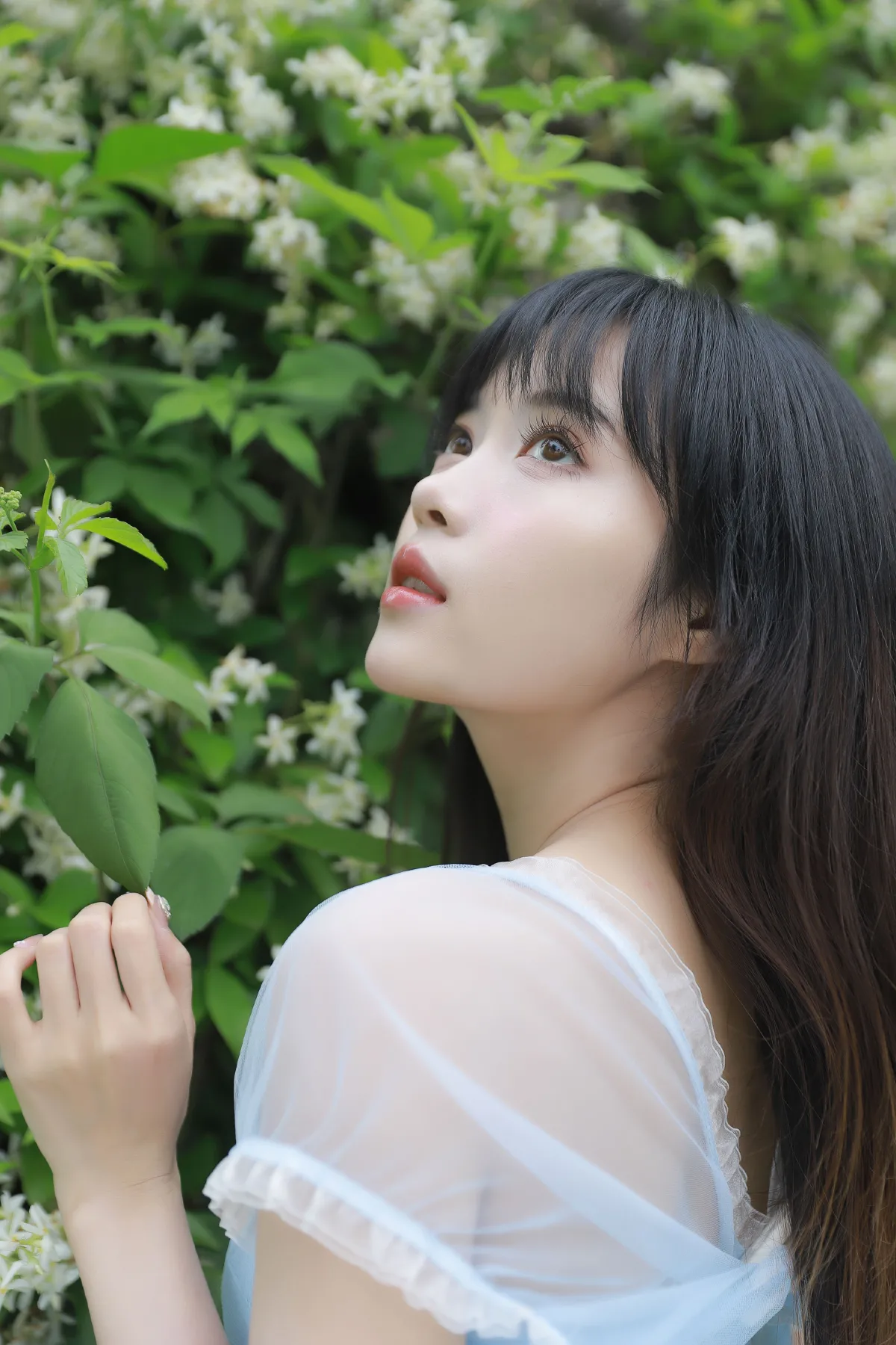 回溯3