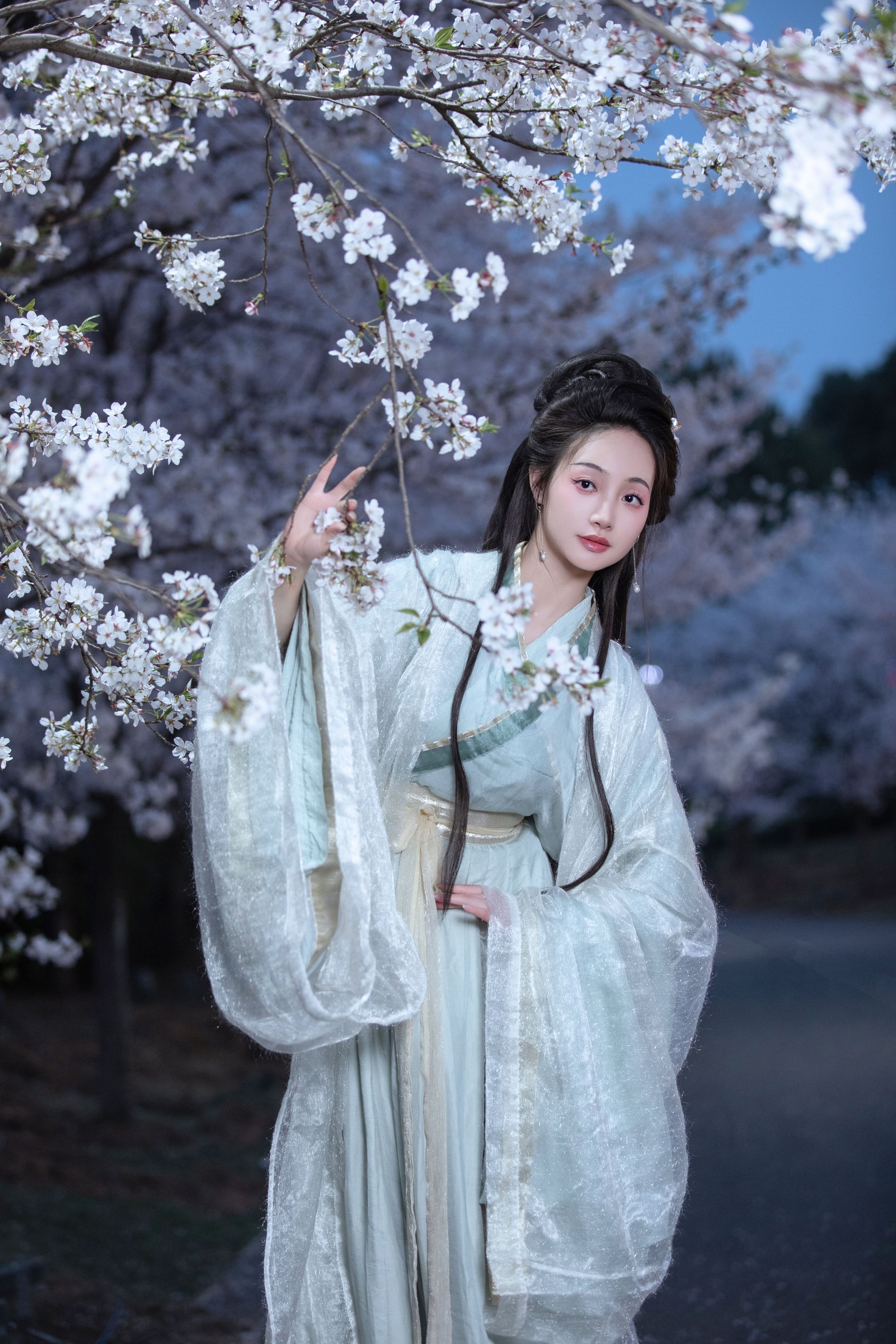 夜樱1