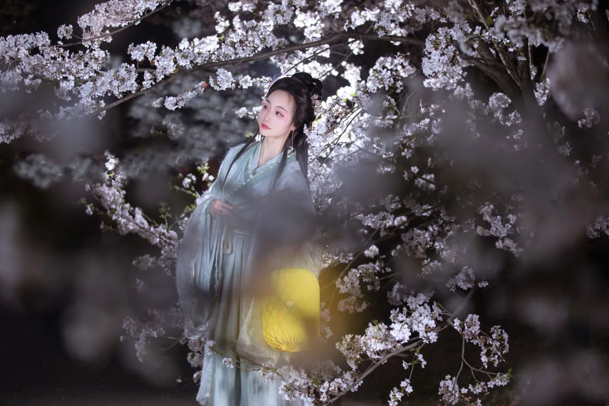 夜樱4