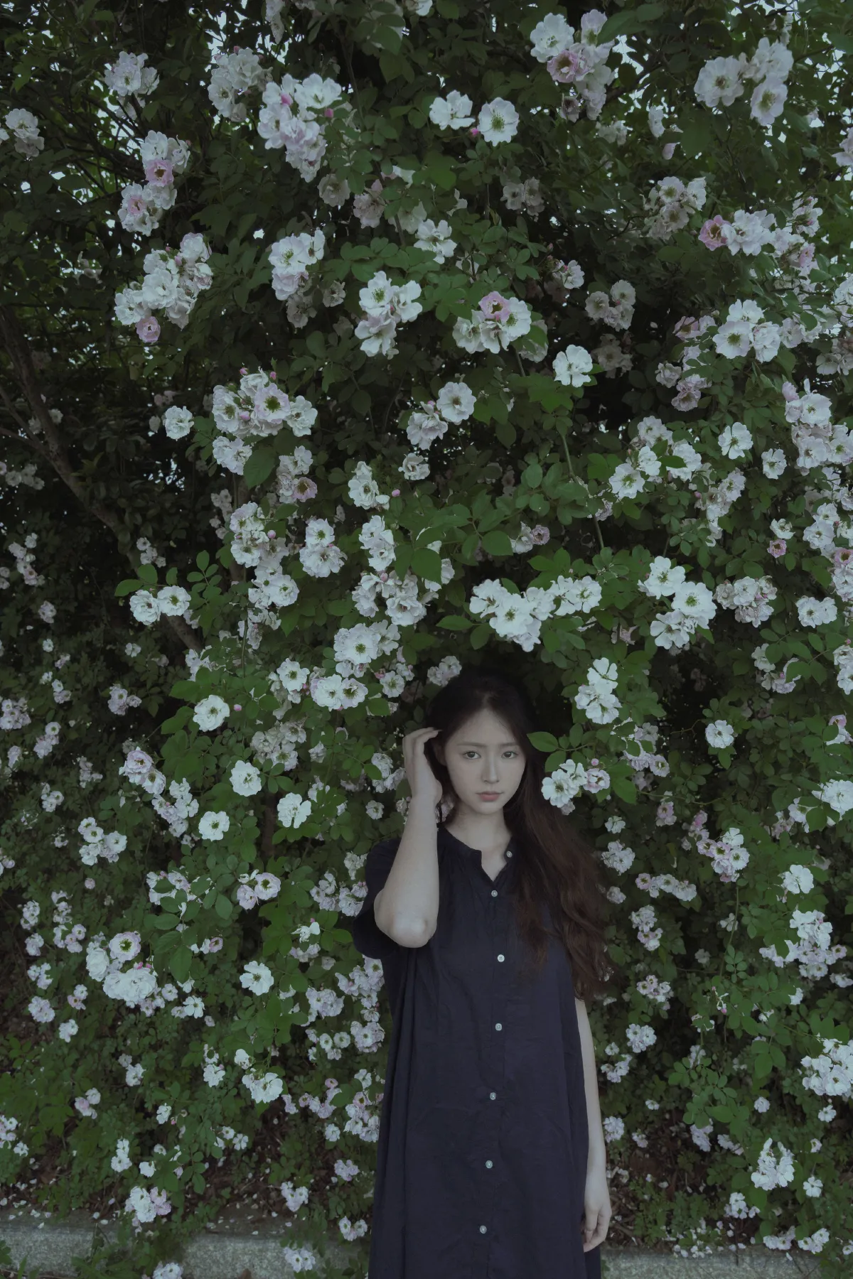 随花2