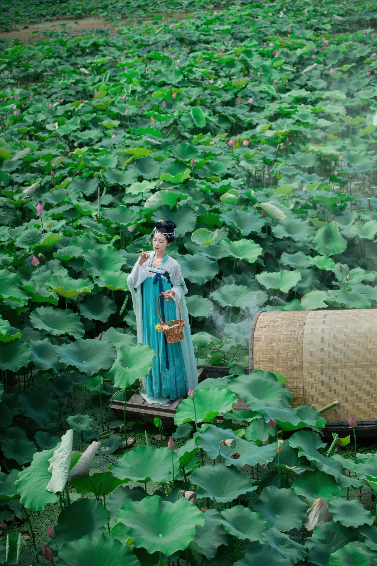菡萏仙1