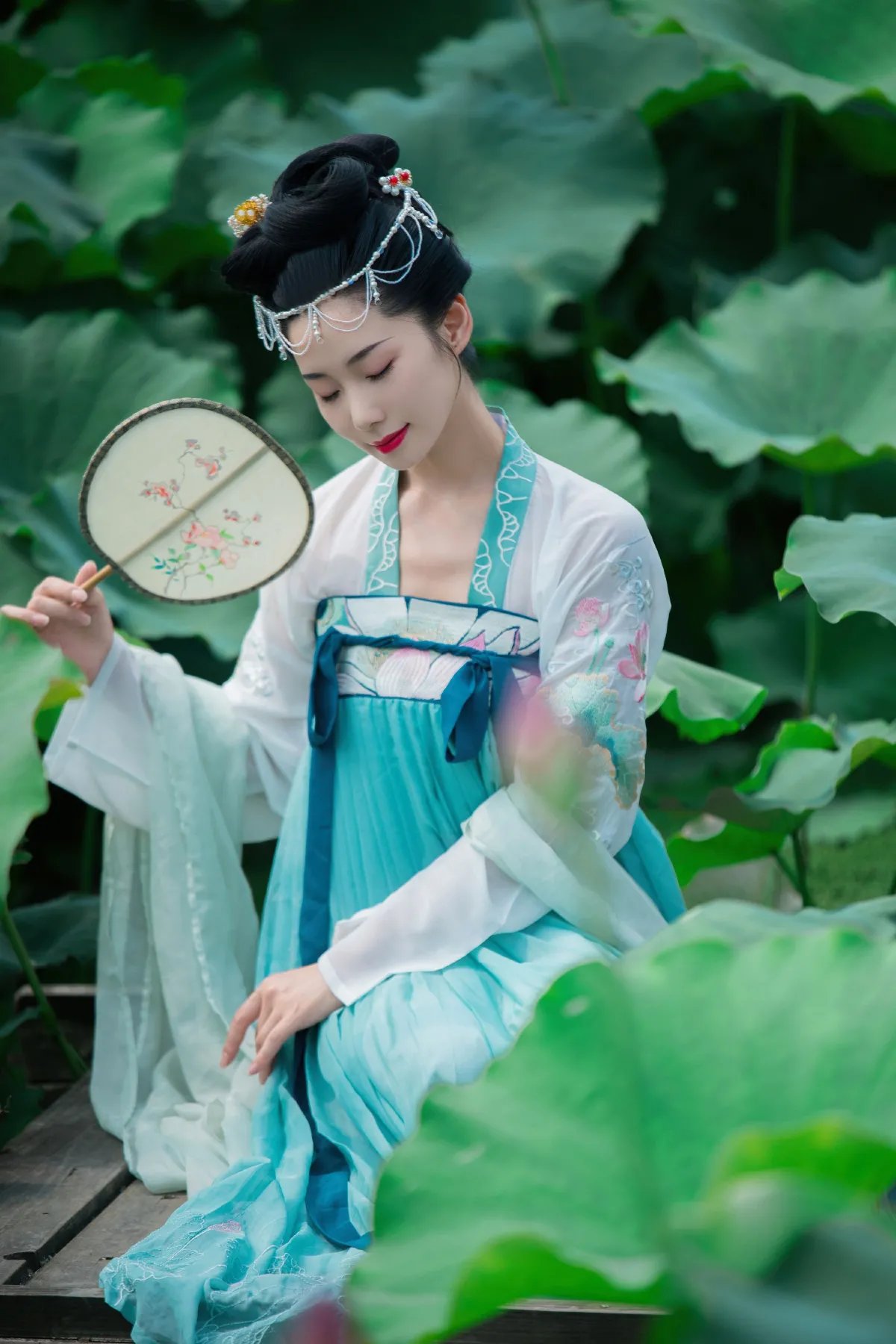 菡萏仙3