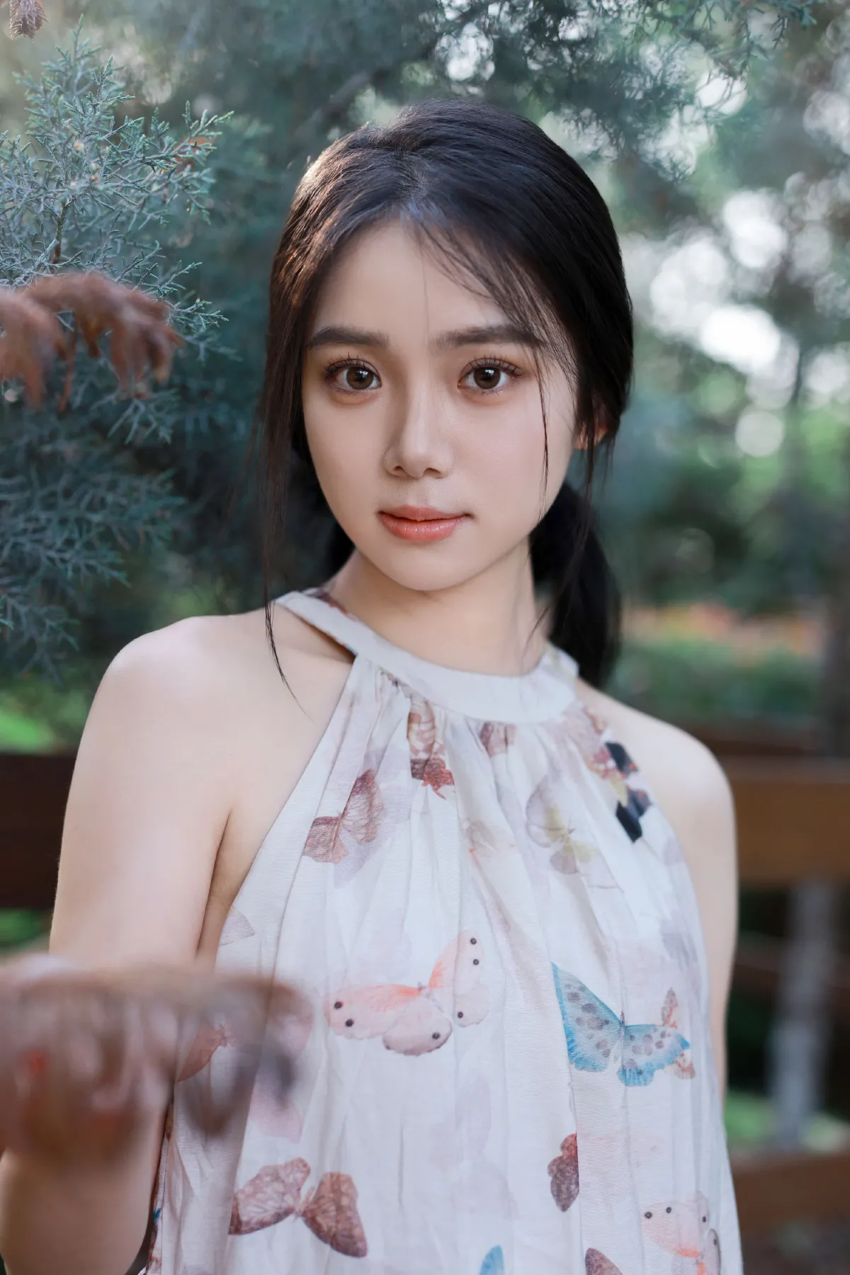 逆光蝴蝶仙子1