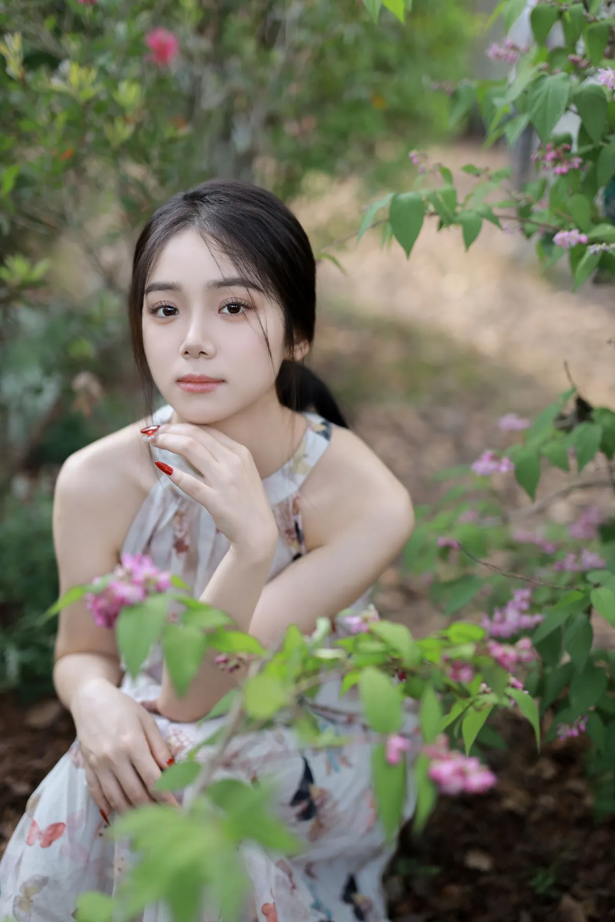 逆光蝴蝶仙子