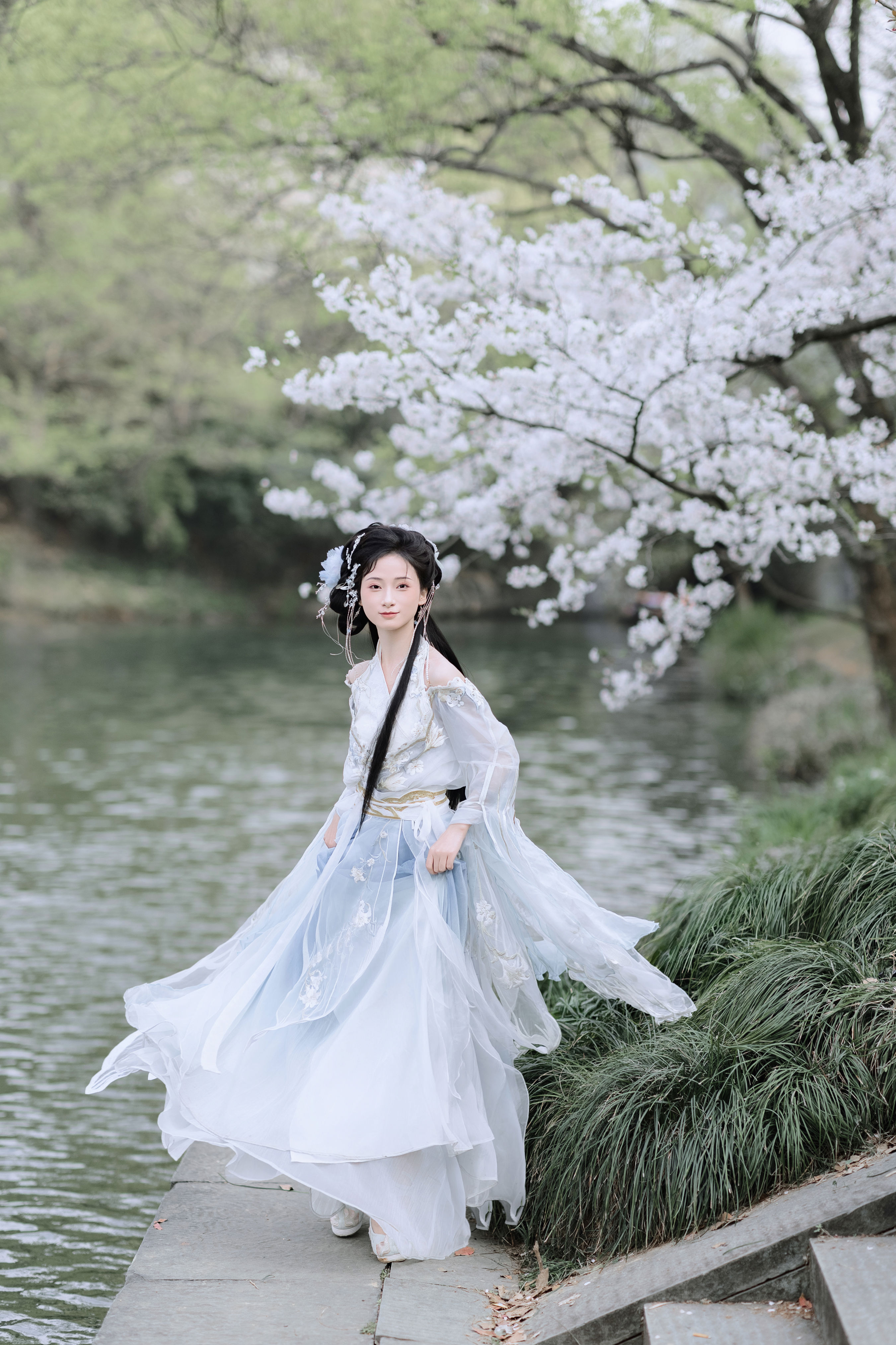 樱吹雪1