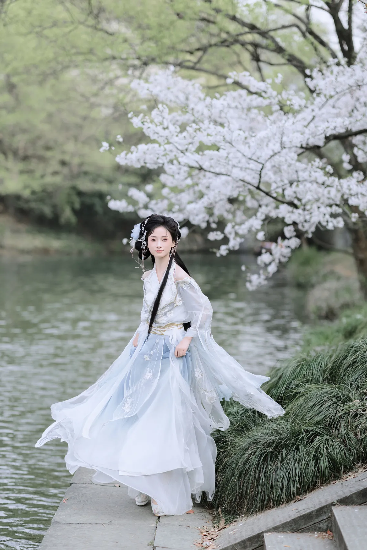 樱吹雪1