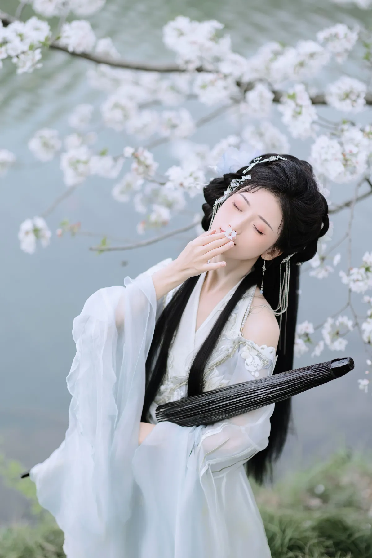樱吹雪3