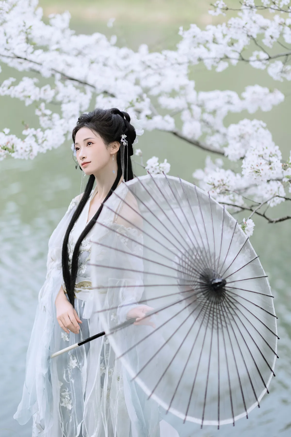 樱吹雪2