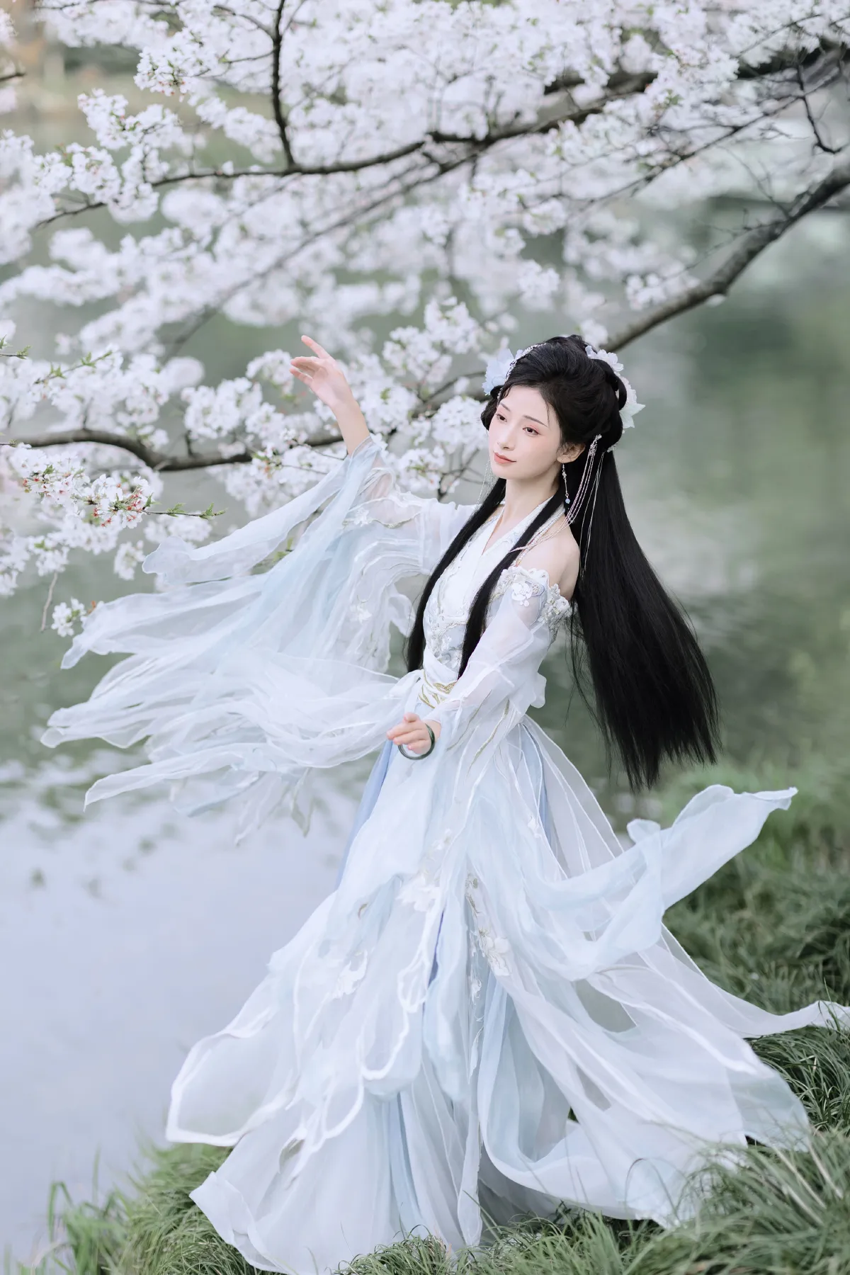 樱吹雪4