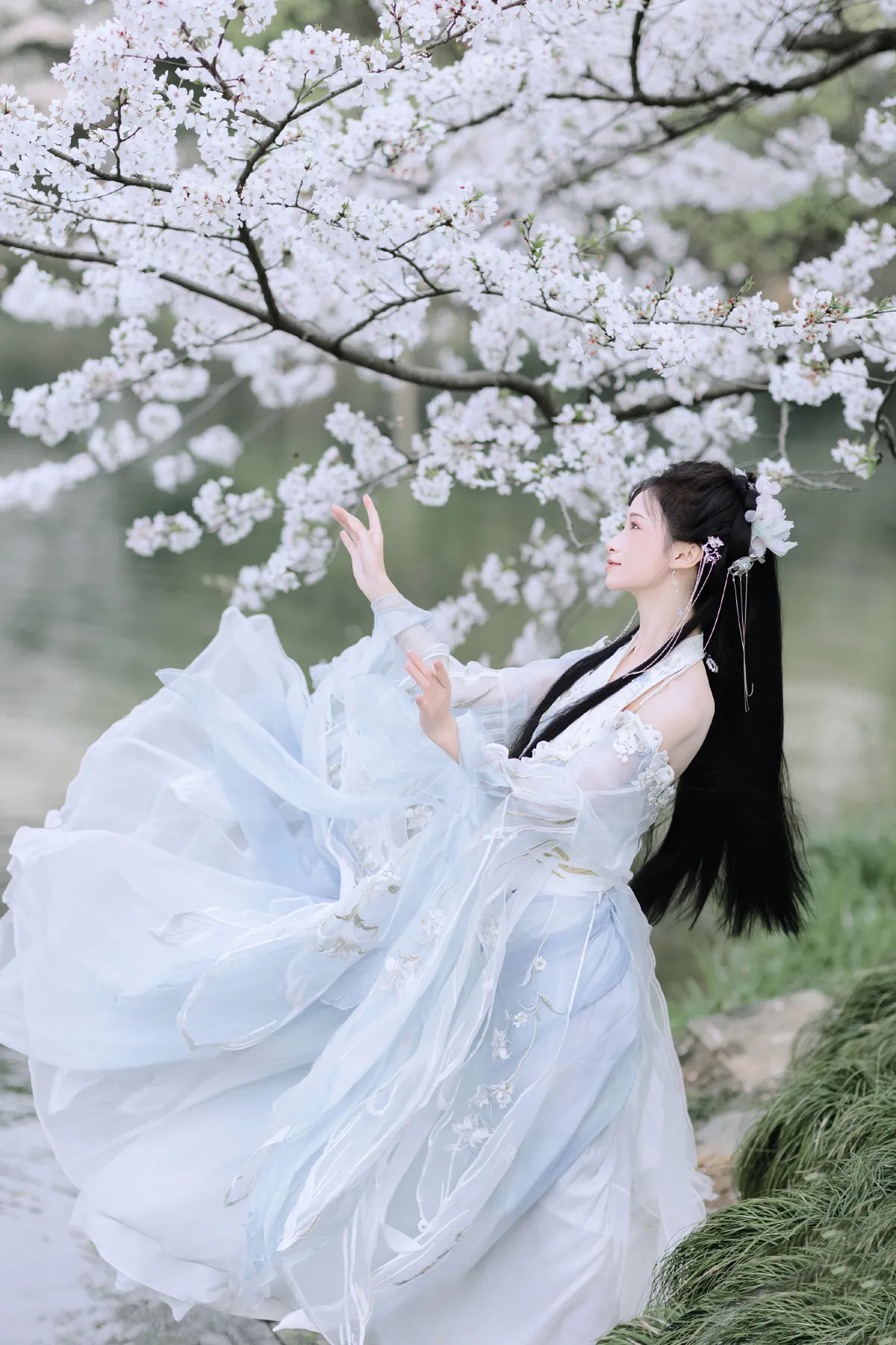 樱吹雪5