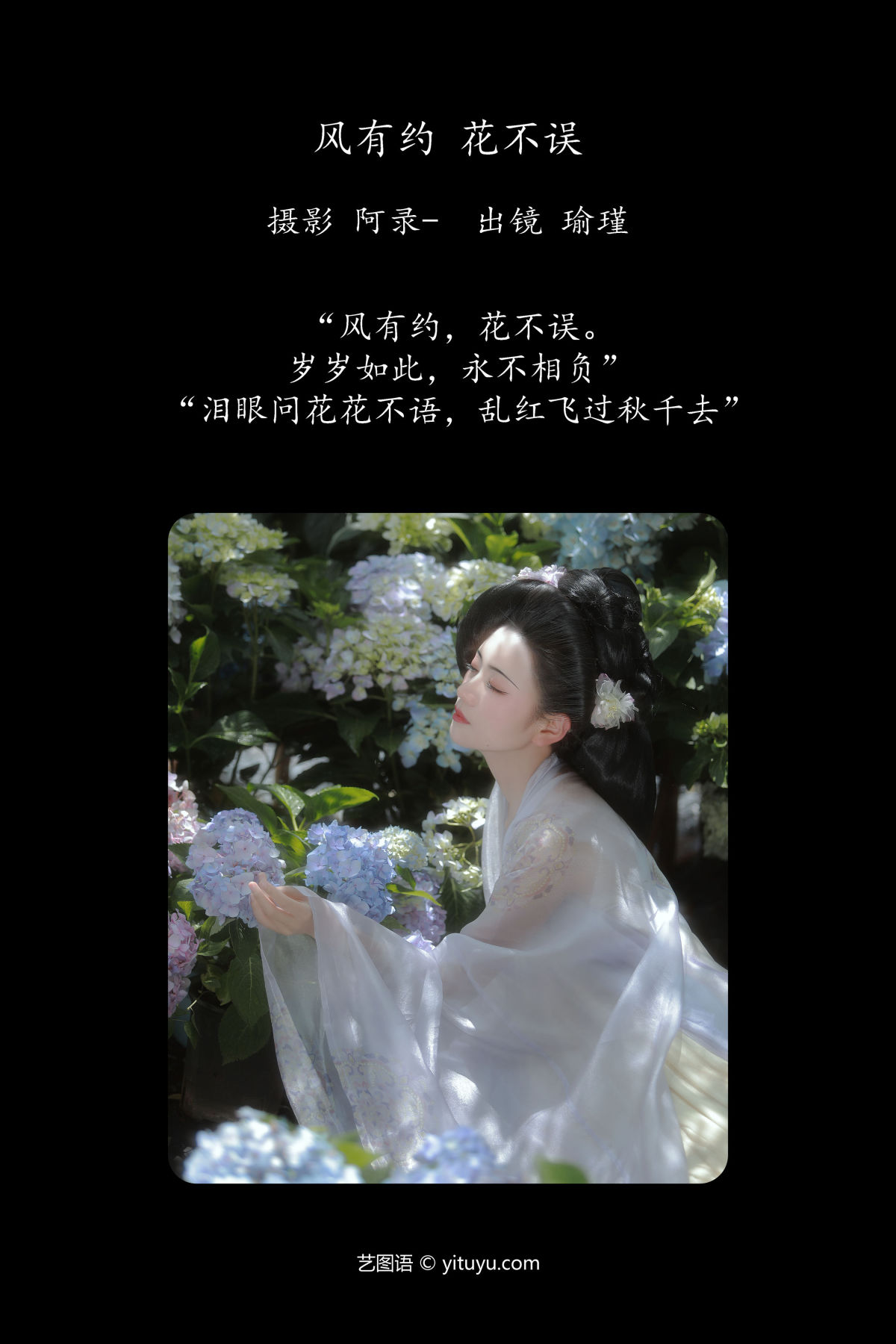 阿录-_瑜瑾《风有约，花不误》美图作品图片2