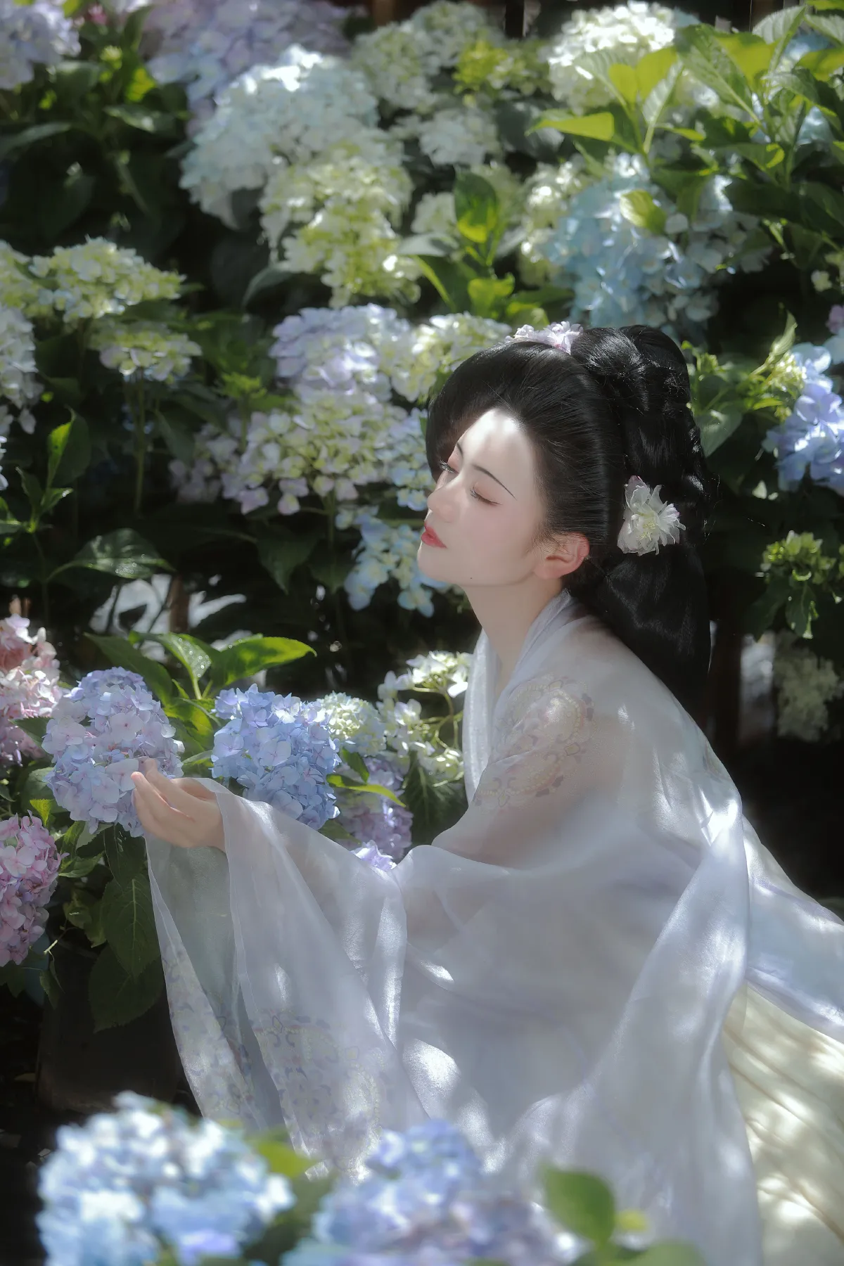 阿录-_瑜瑾《风有约，花不误》美图作品图片1