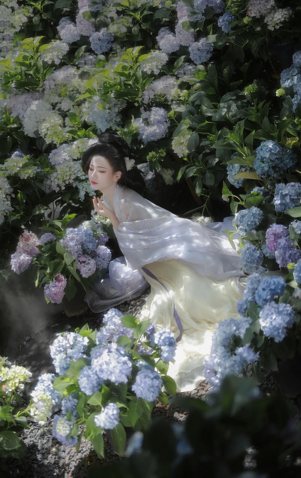 阿录-_瑜瑾《风有约，花不误》美图作品图片3