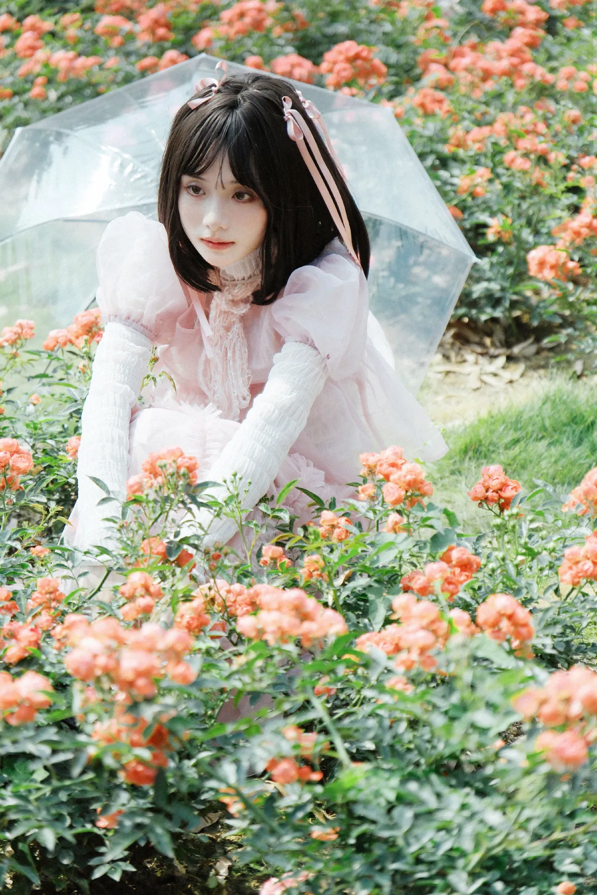 蔷薇少女1