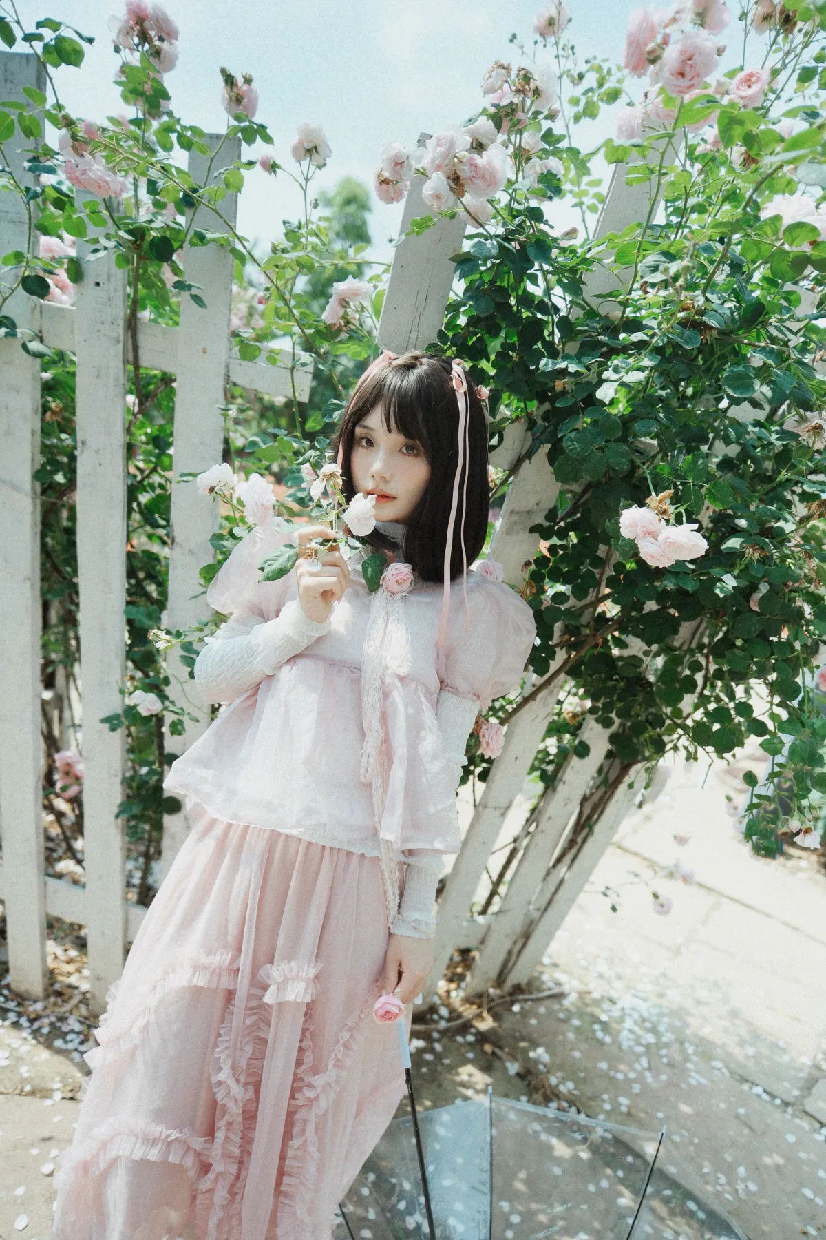 蔷薇少女