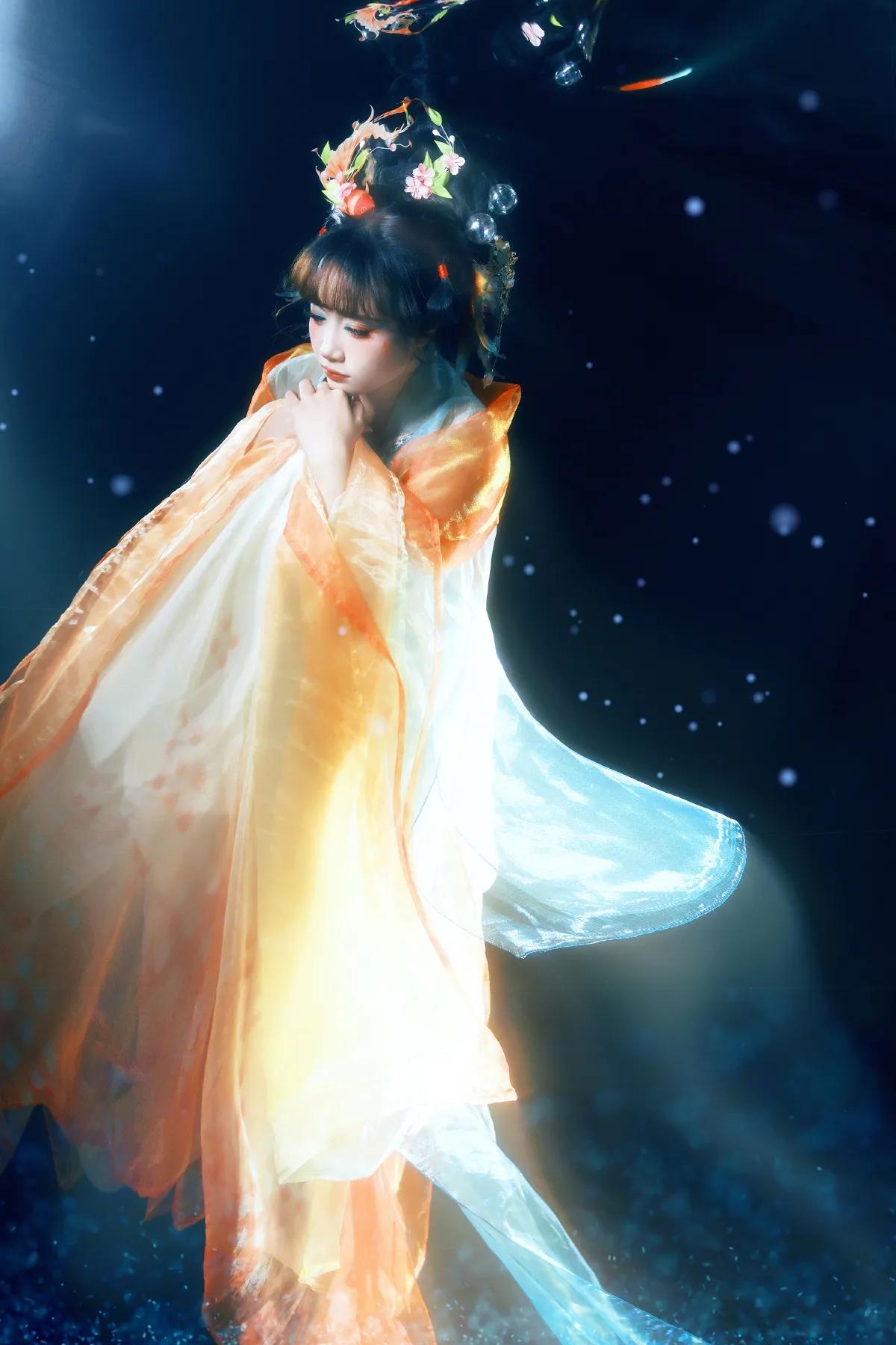 锦鲤1