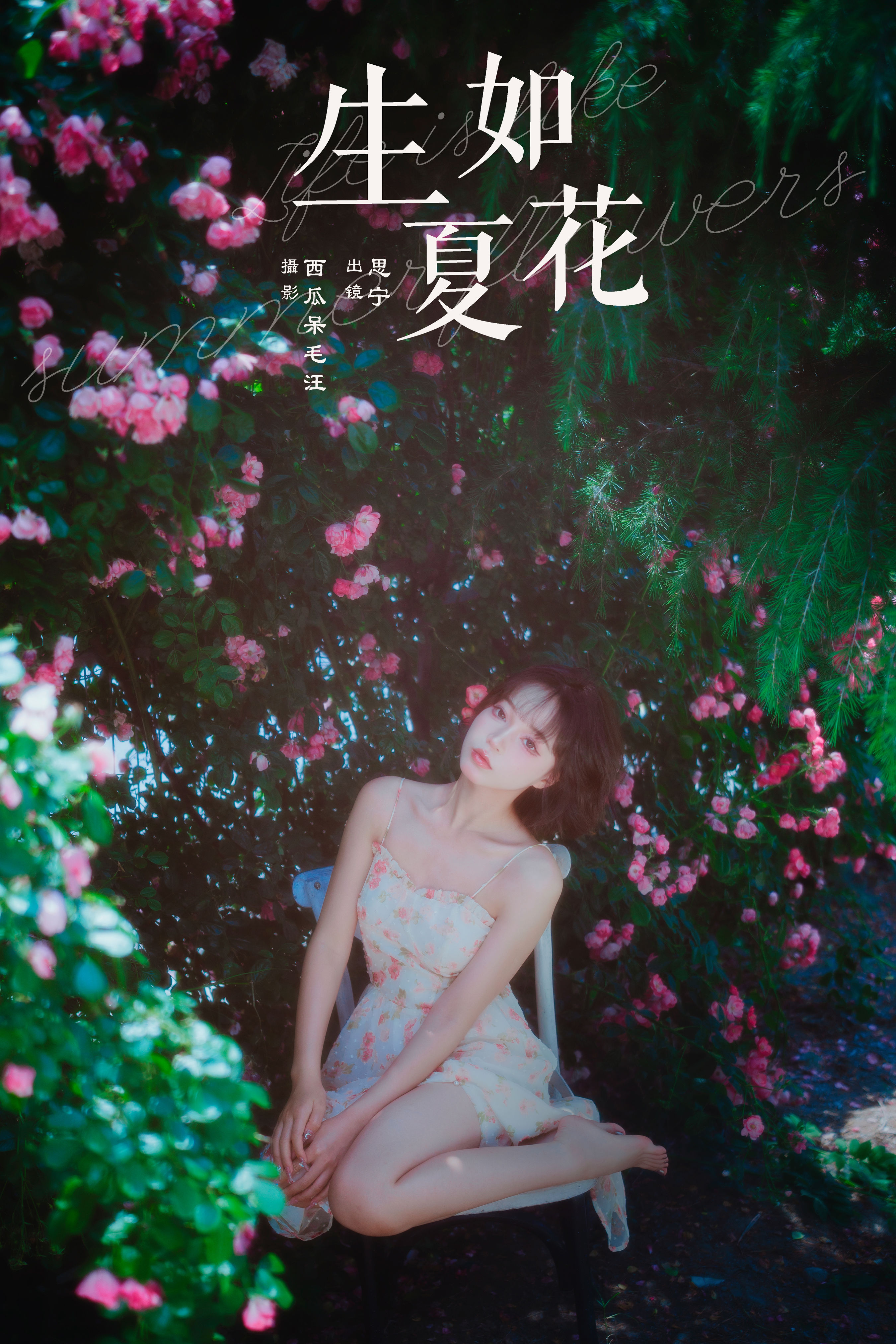 西瓜呆毛汪_Disexi思宁《生如夏花》美图作品图片1