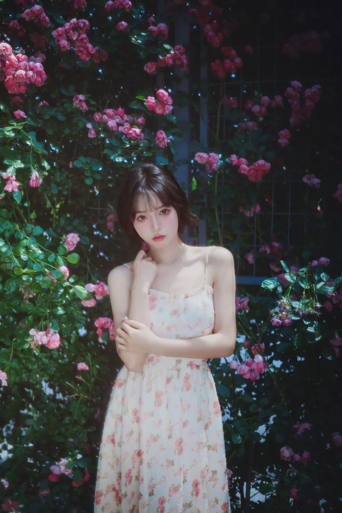 生如夏花1