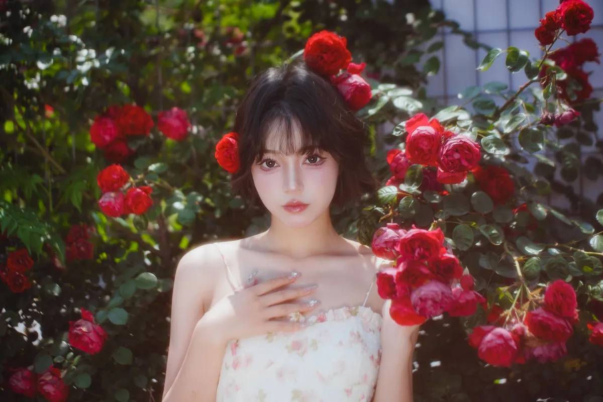 生如夏花2