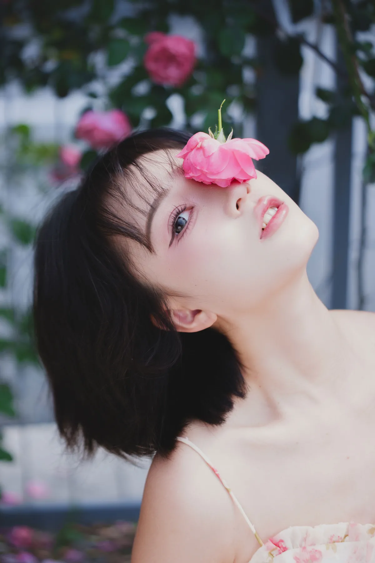 生如夏花5