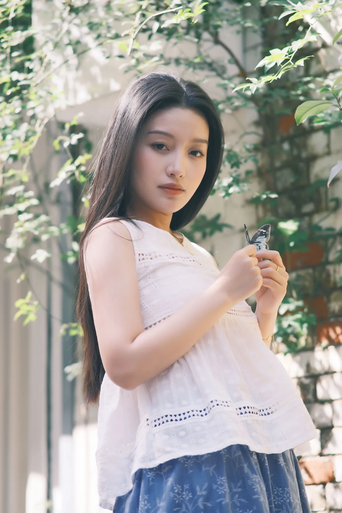 梦蝶4