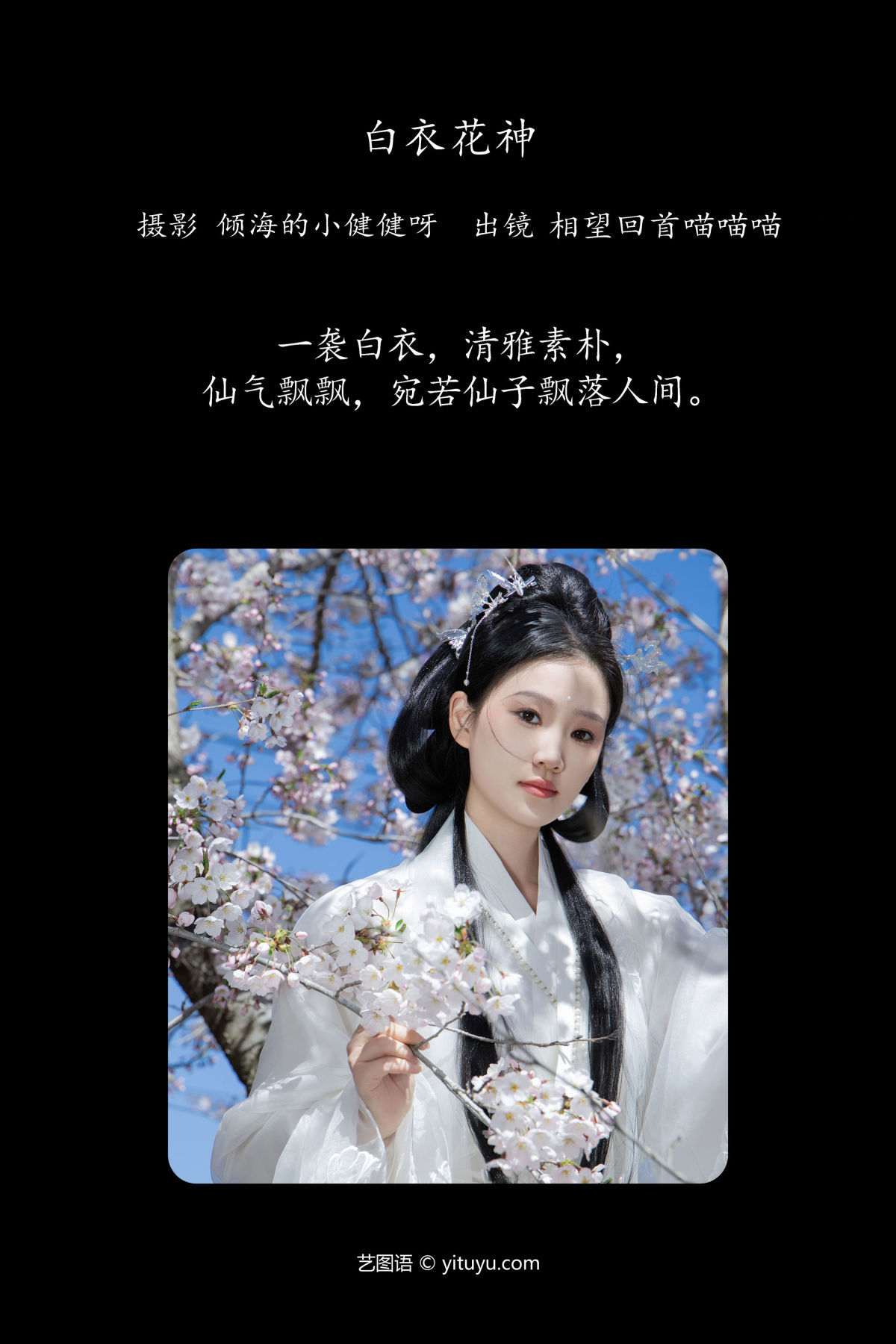 倾海的小健健呀_相望回首喵喵喵《白衣花神》美图作品图片2