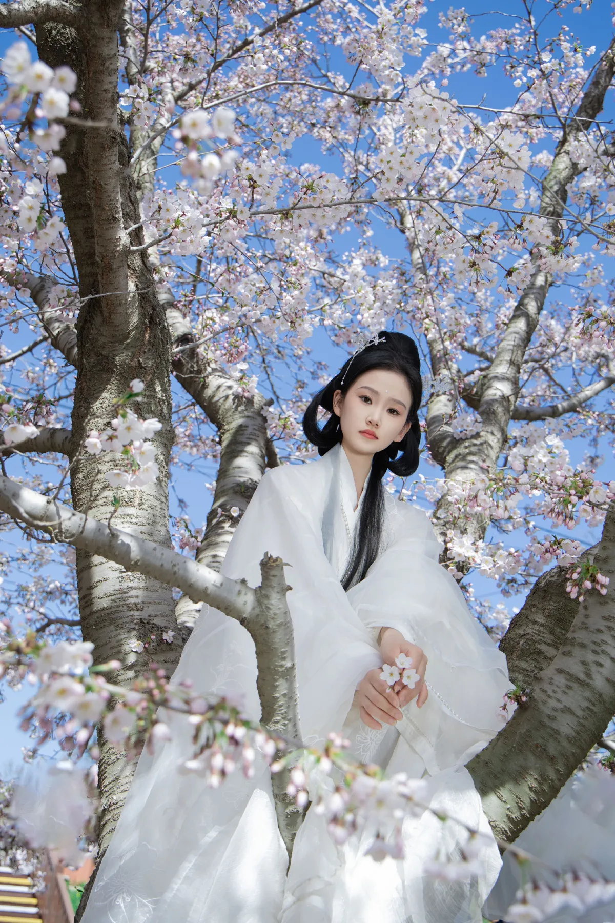 白衣花神