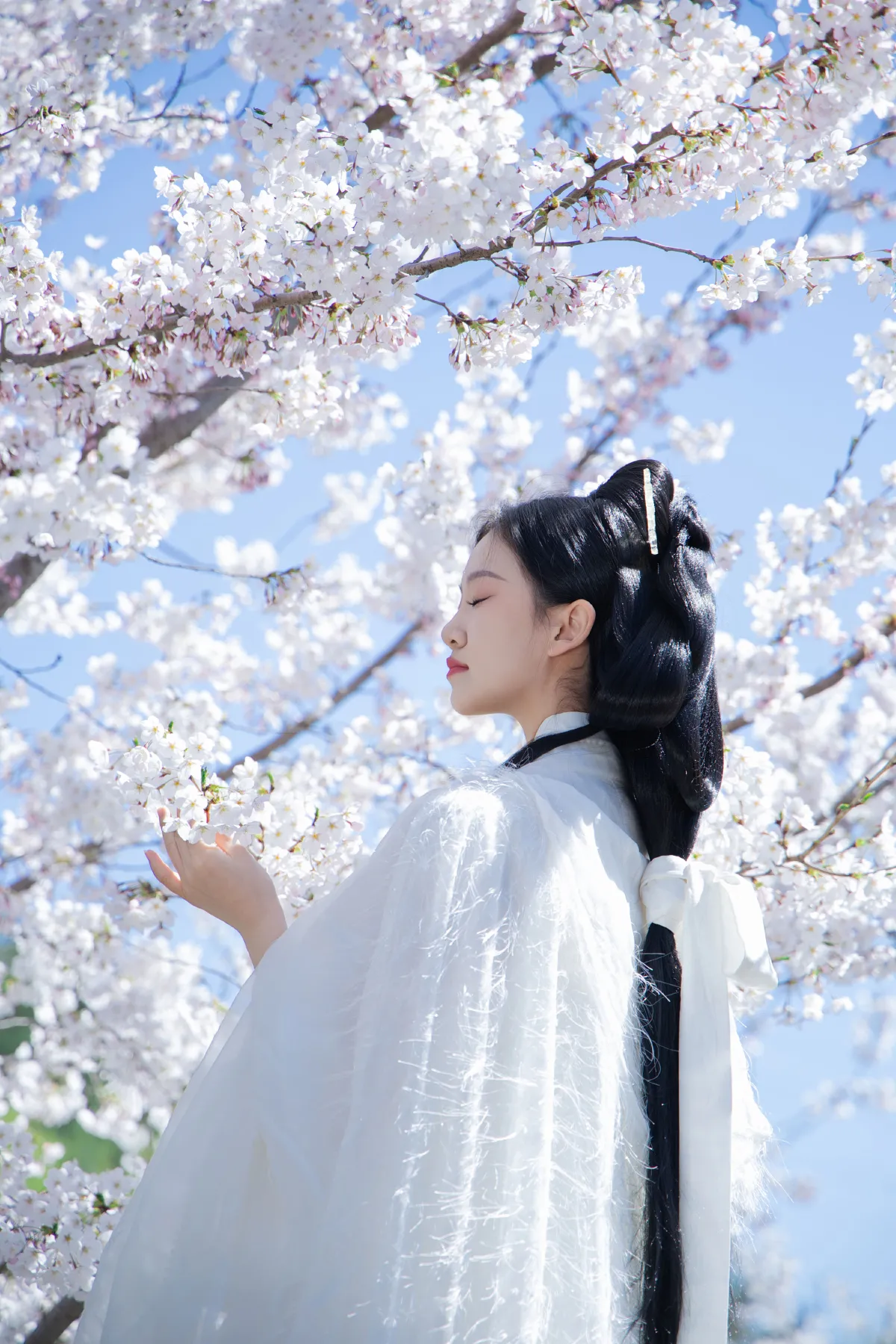 白衣花神
