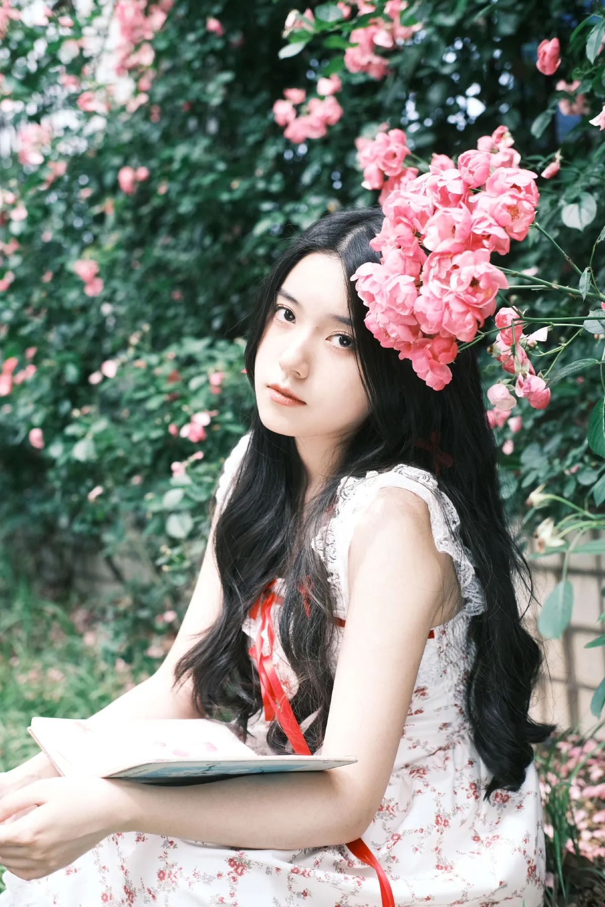 花火2