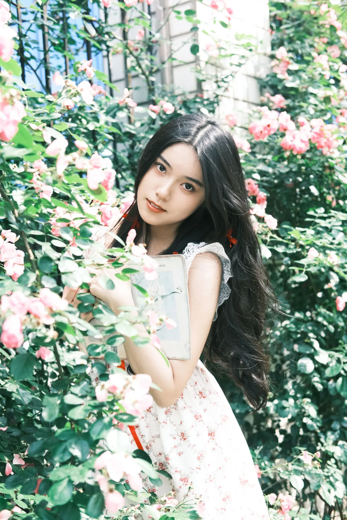 花火