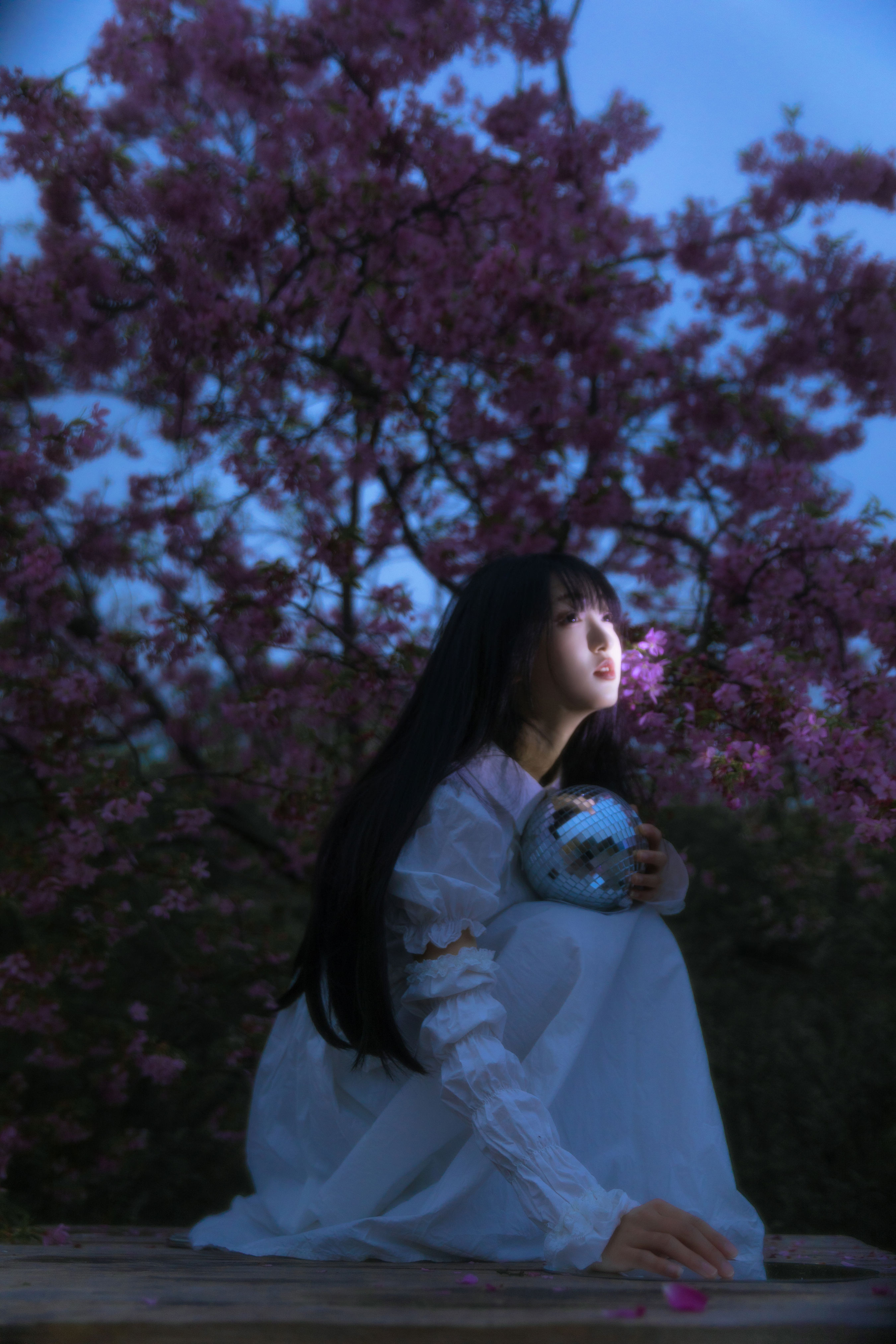 夜樱1