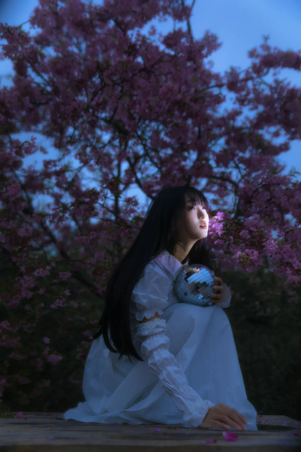 夜樱1