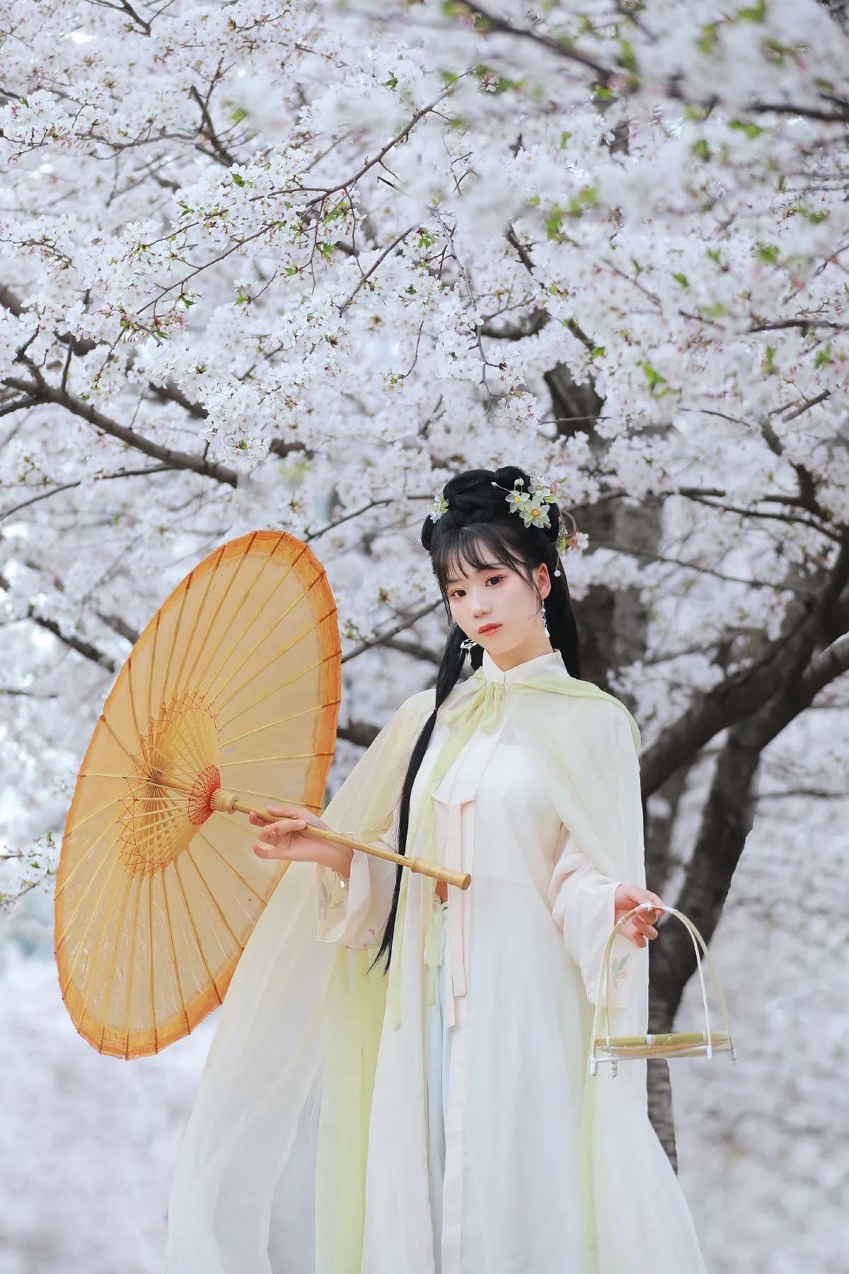 花不误1